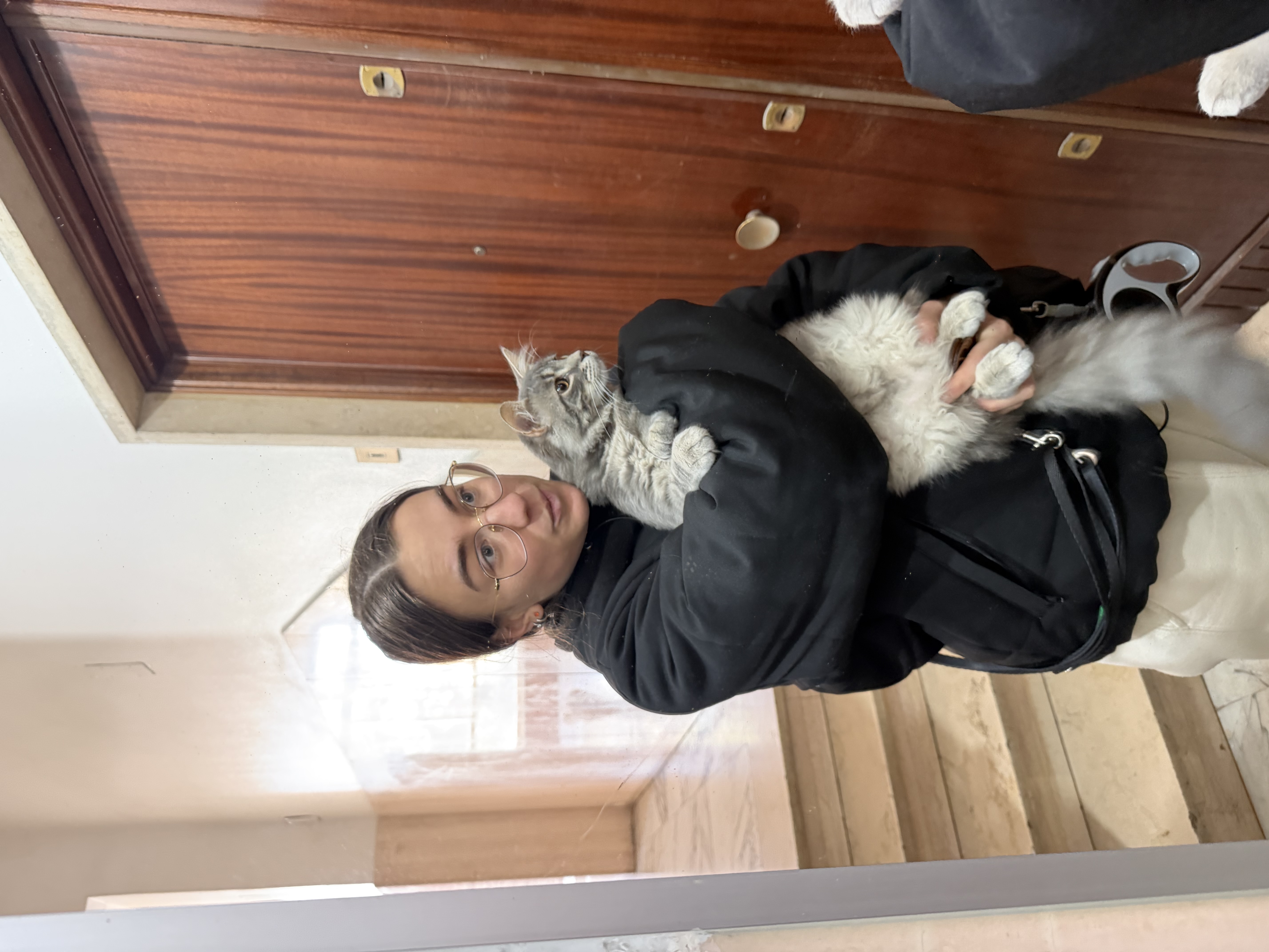 image-20