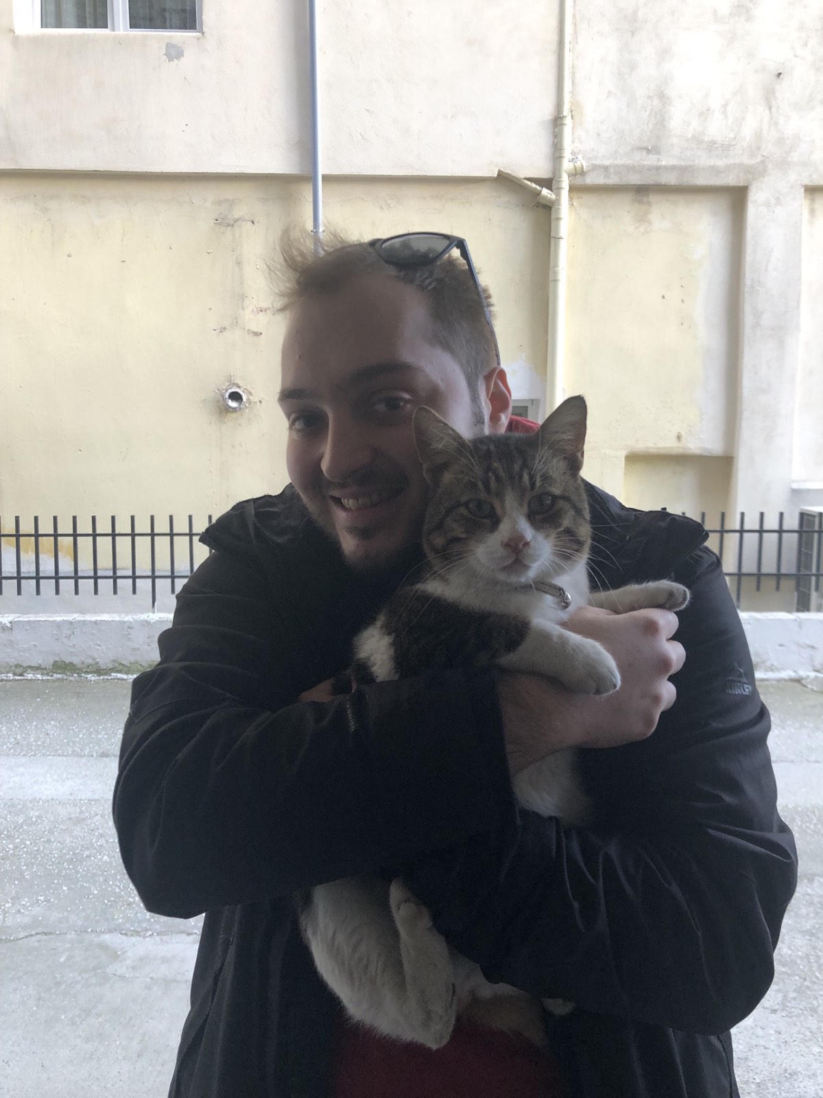 image-6