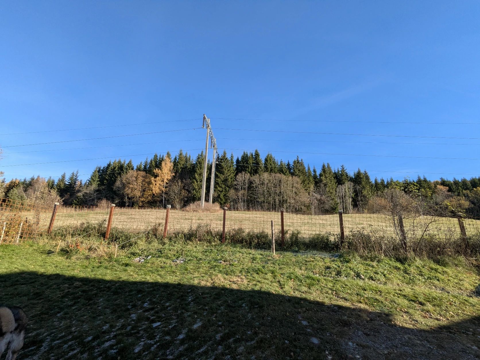 image-25