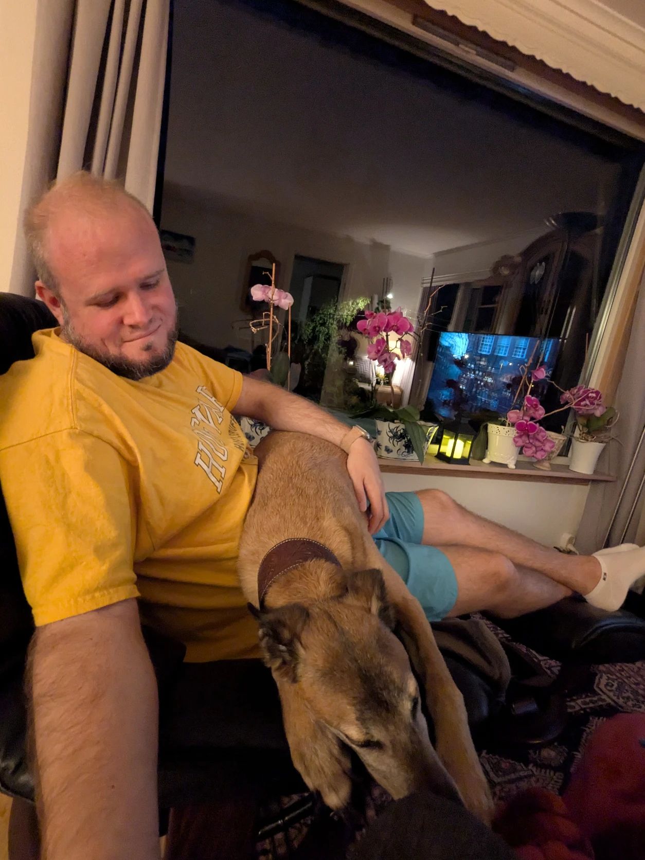 image-11