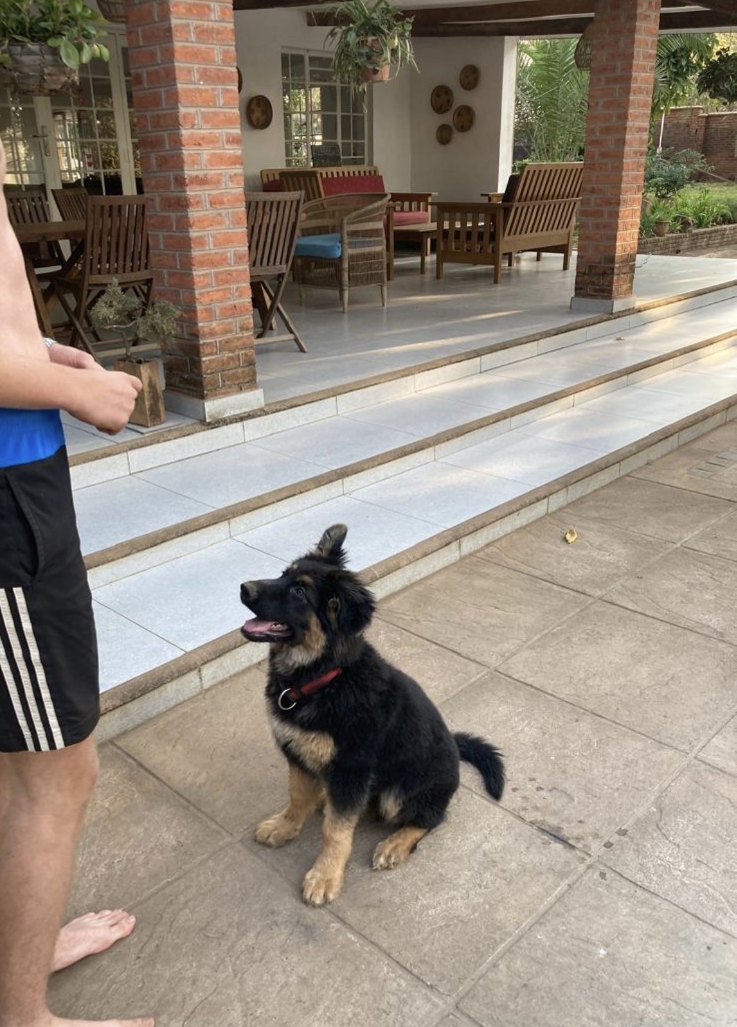 image-6