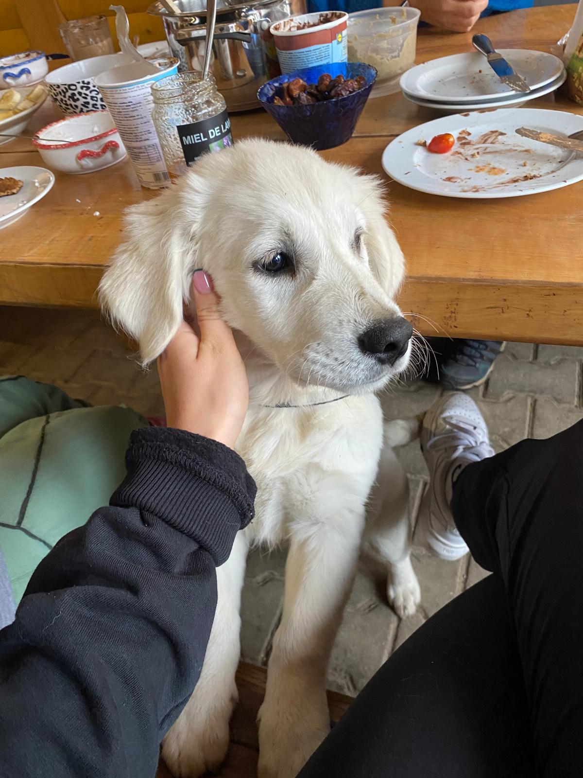 image-8