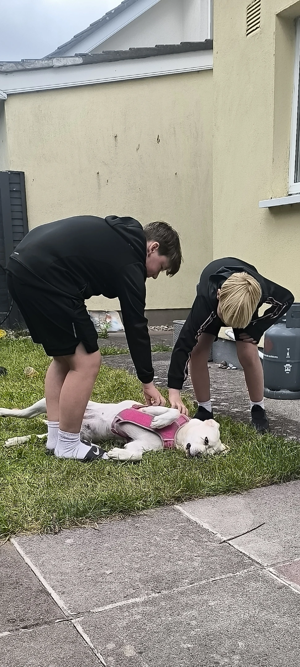 image-7