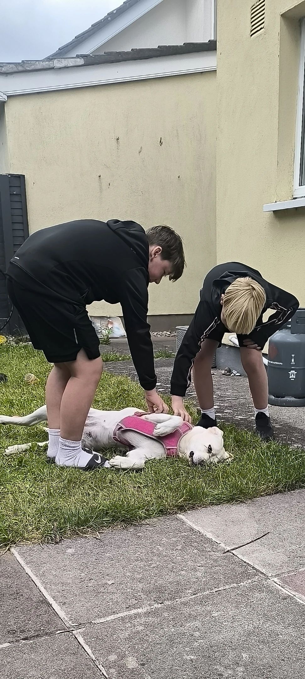 image-7