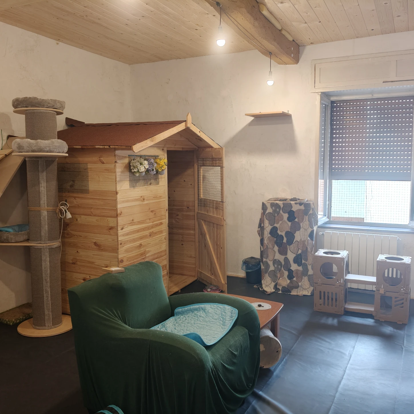 image-44