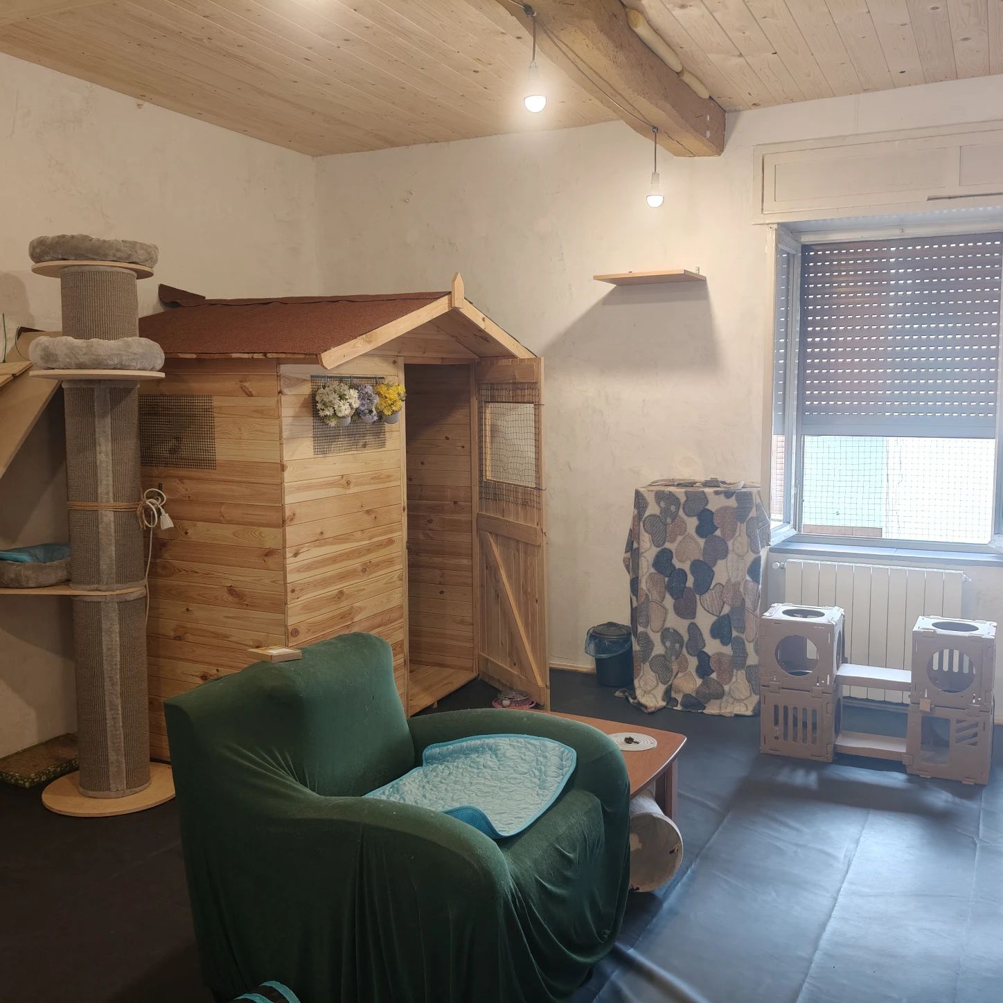 image-44