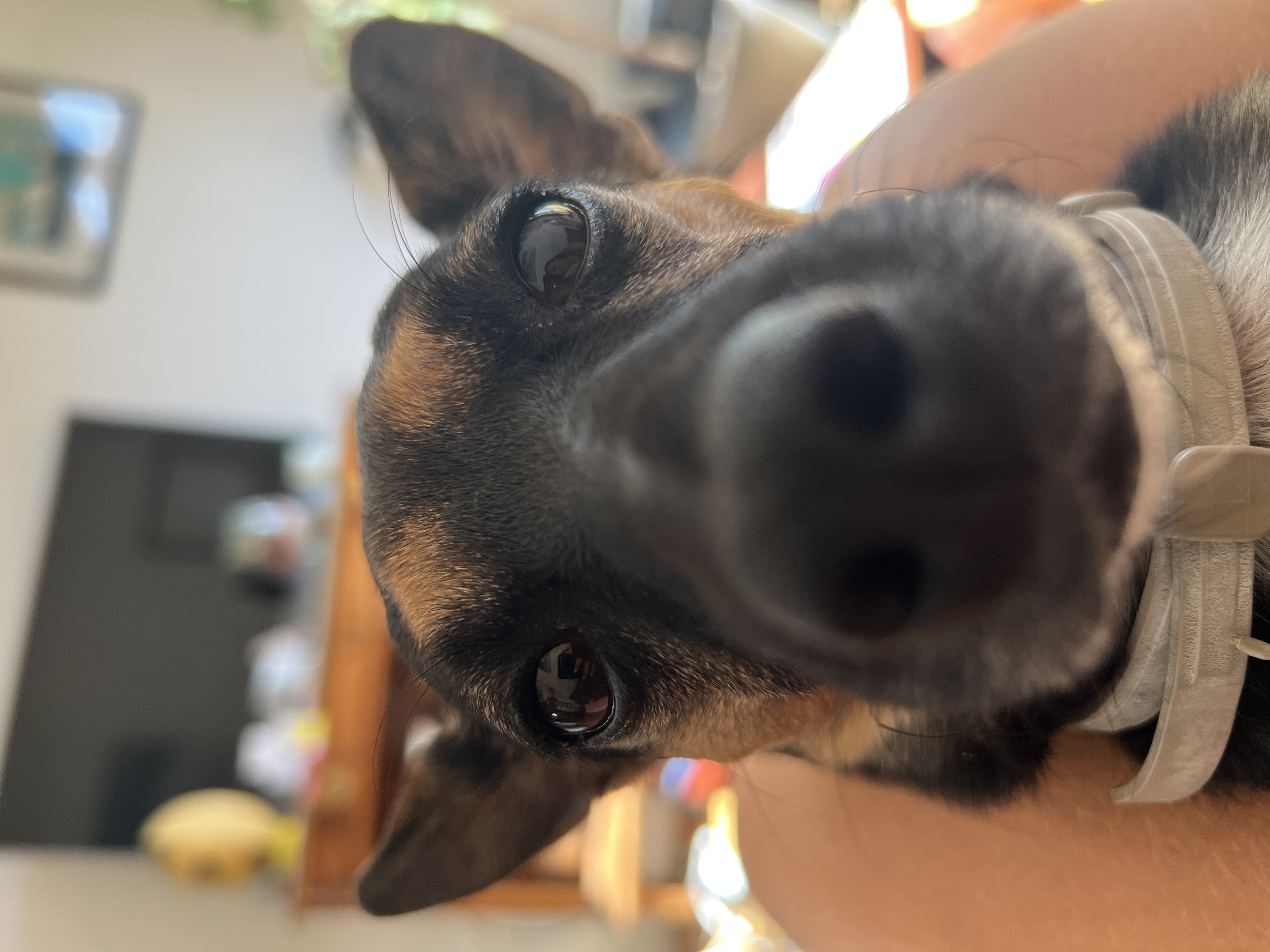 image-8
