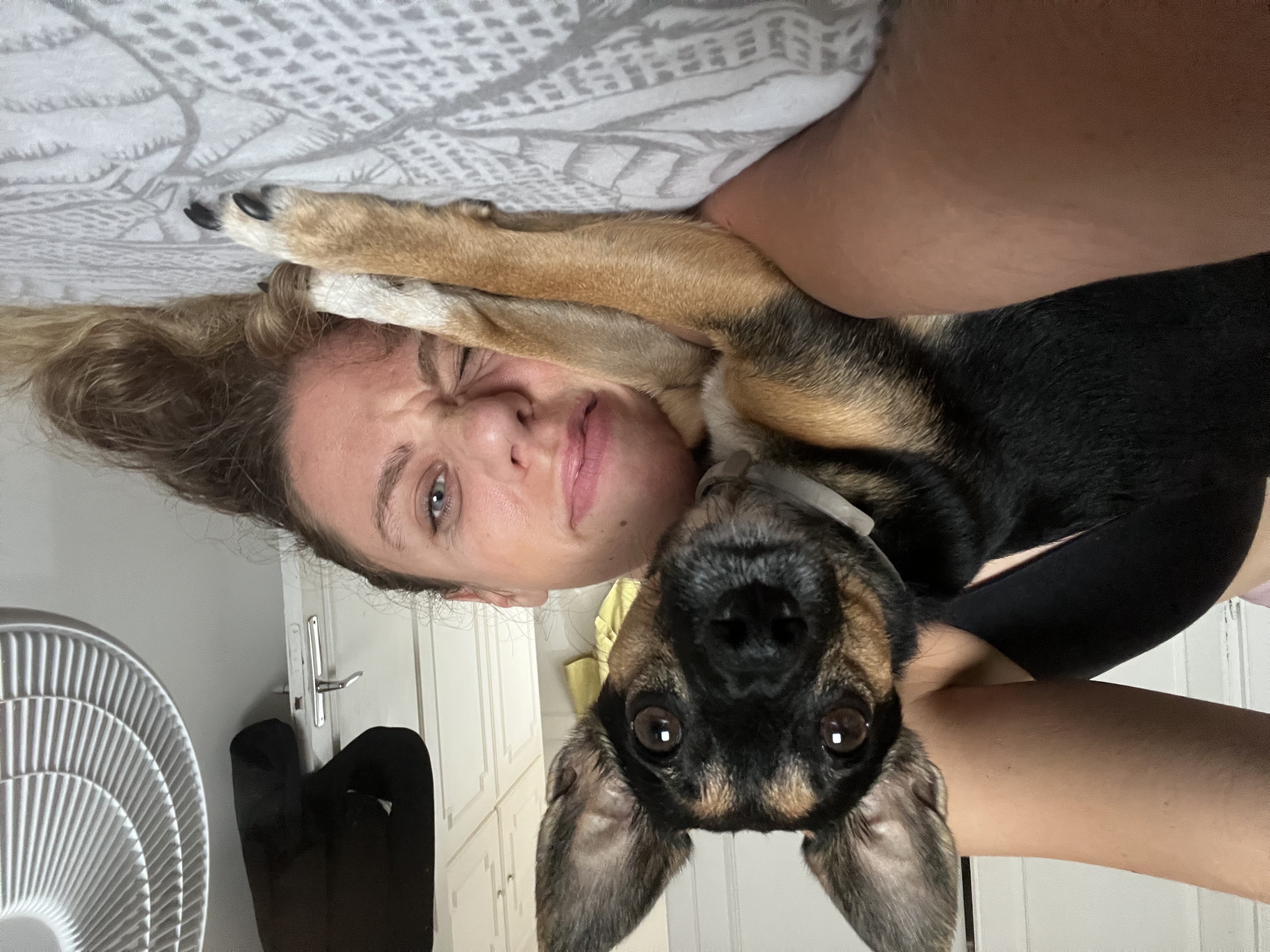 image-6
