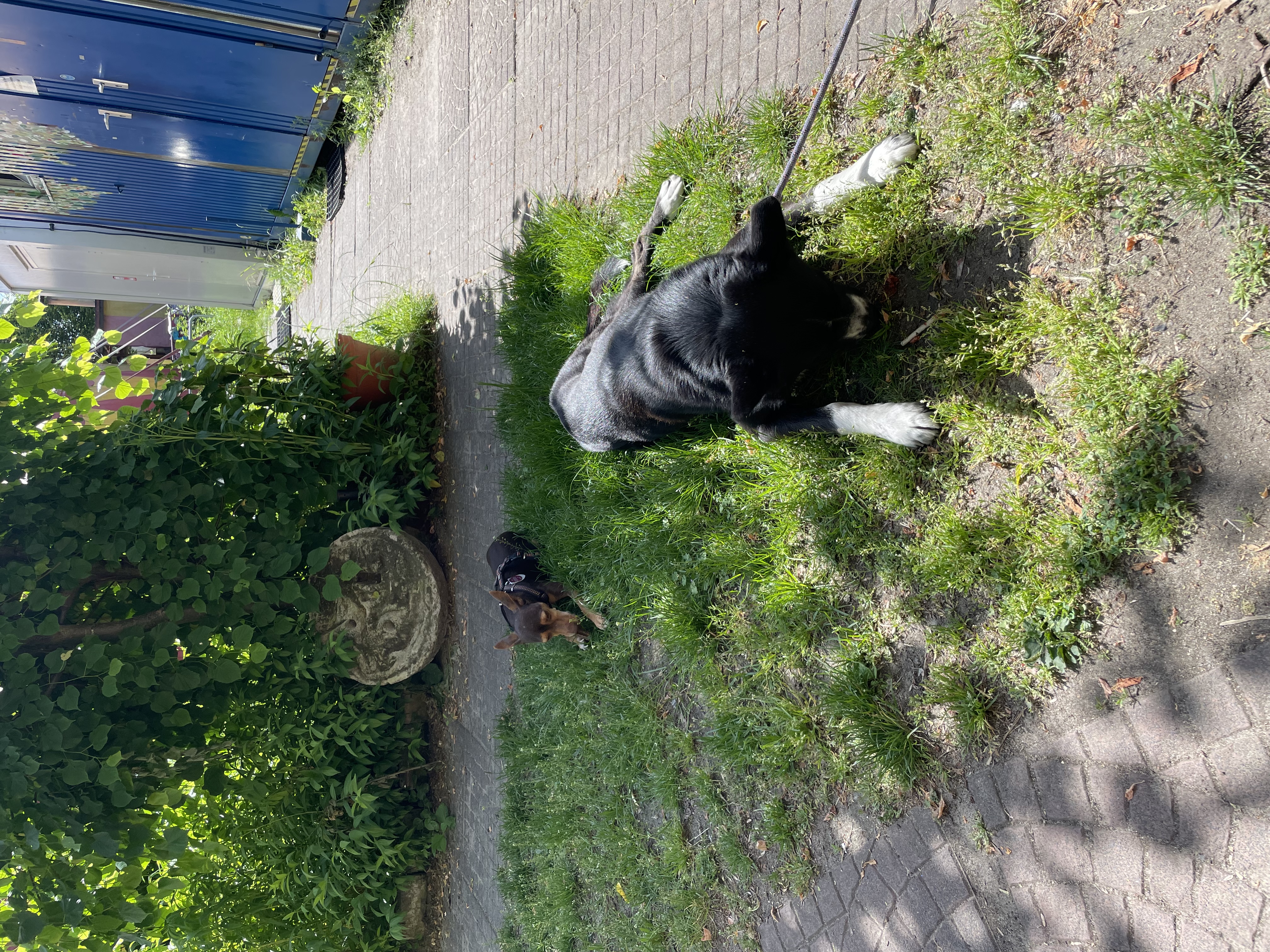 image-22