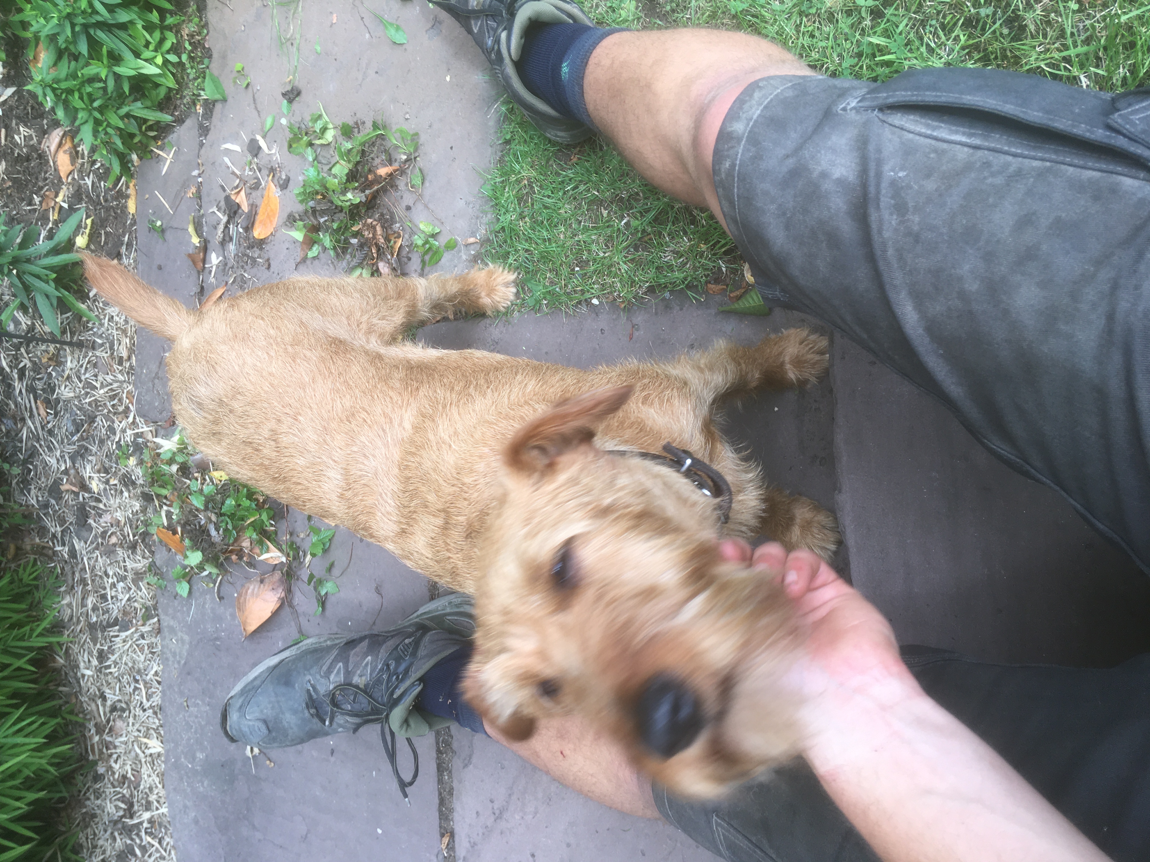 image-8