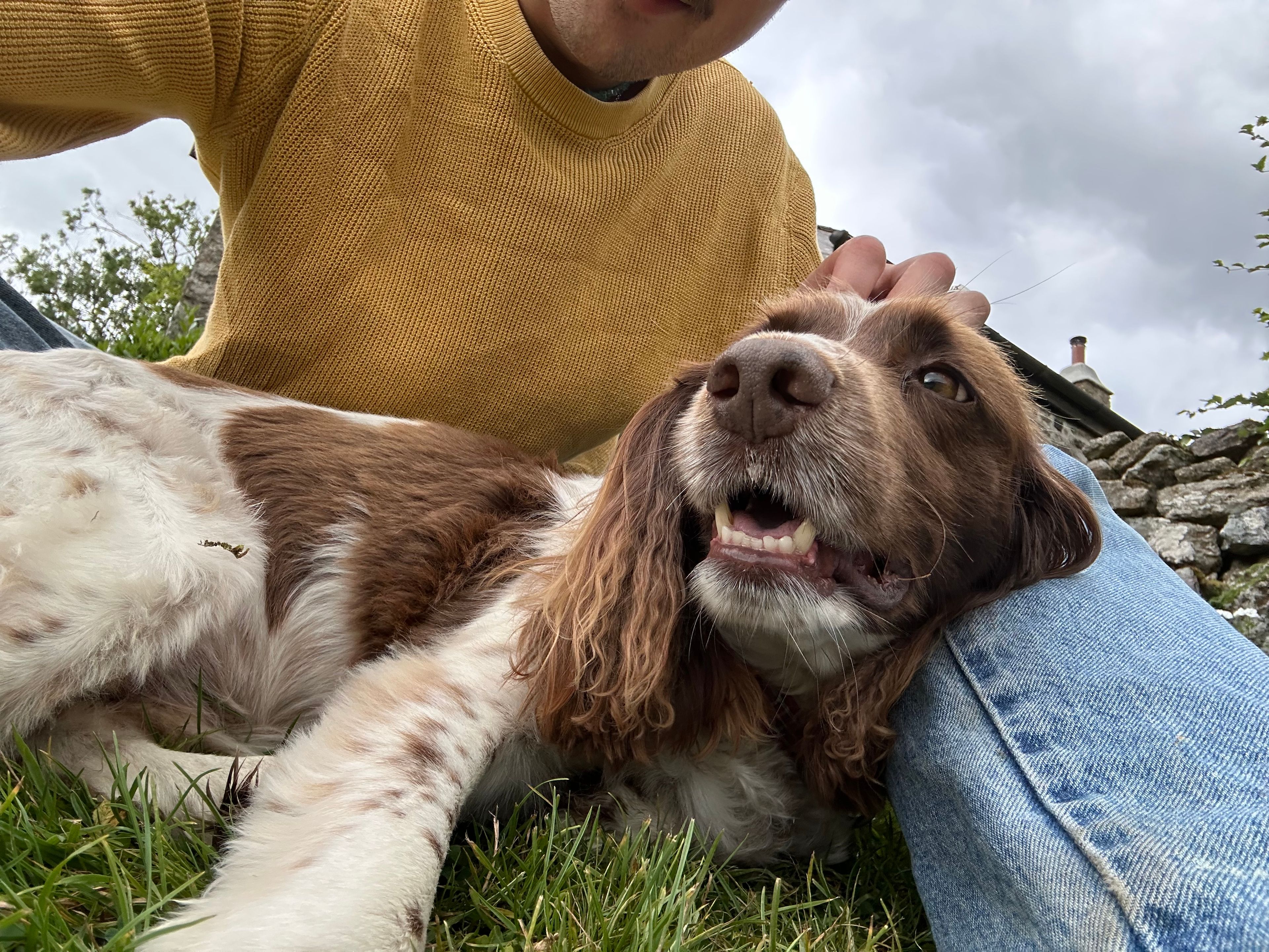 image-9