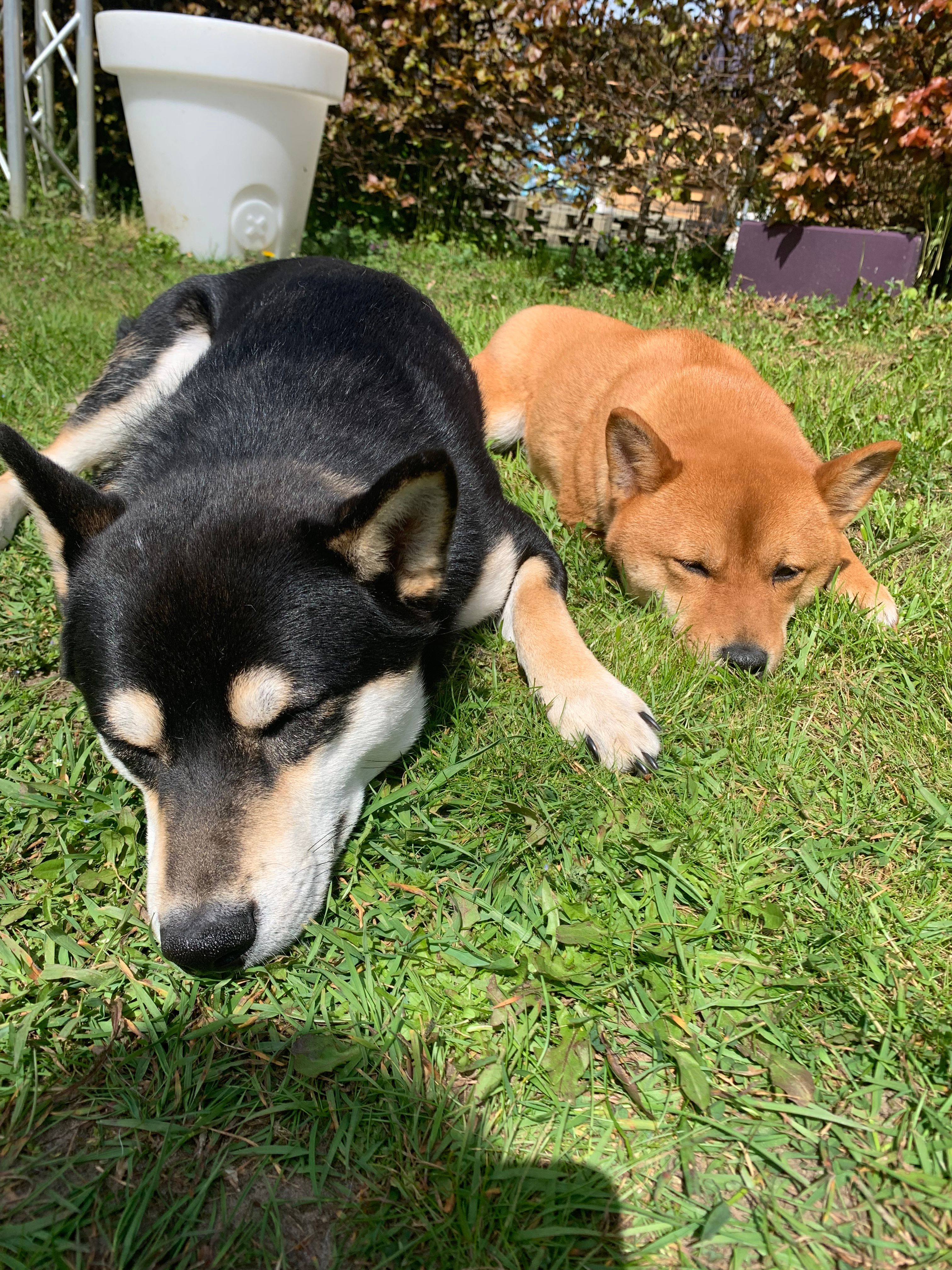 image-13