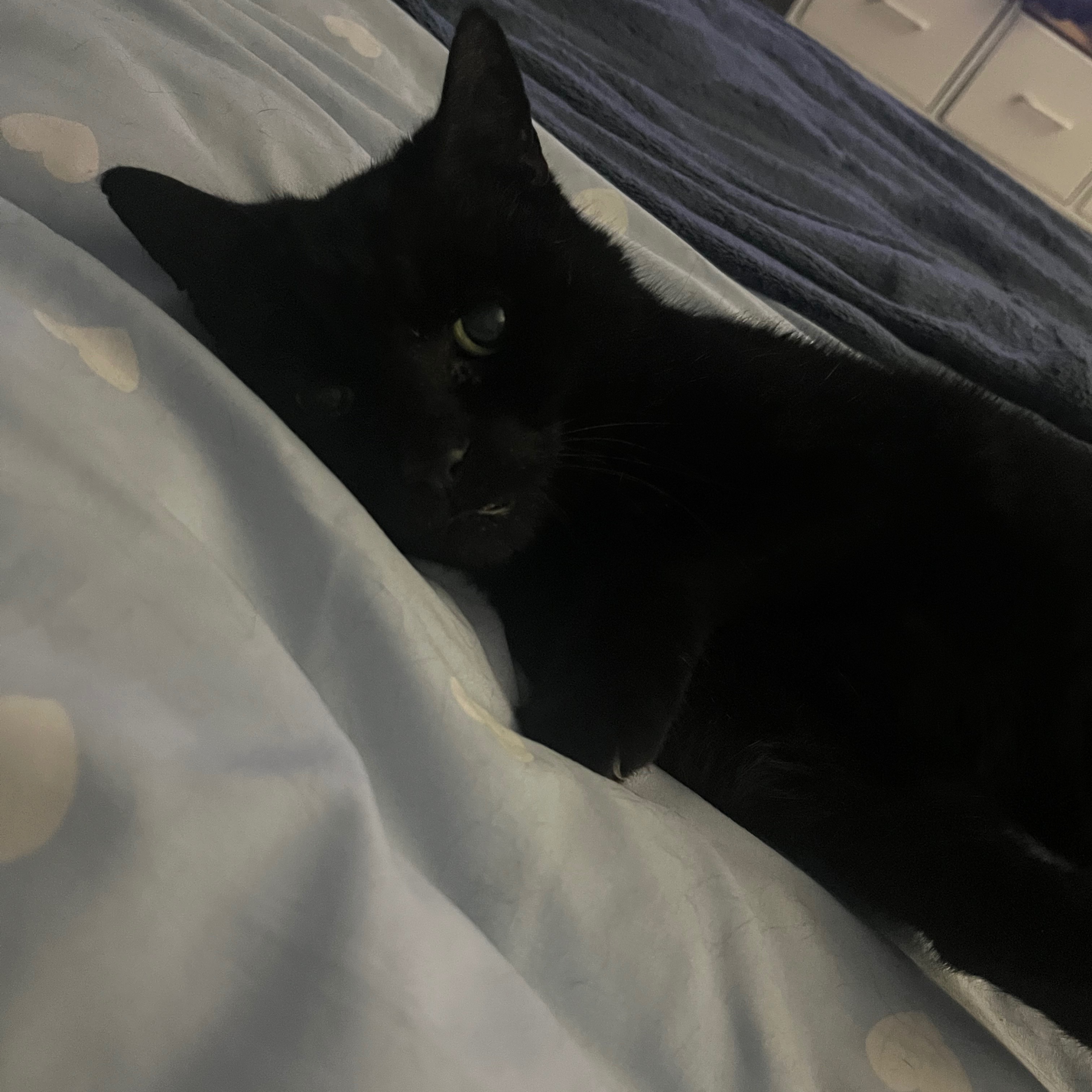 Sid
