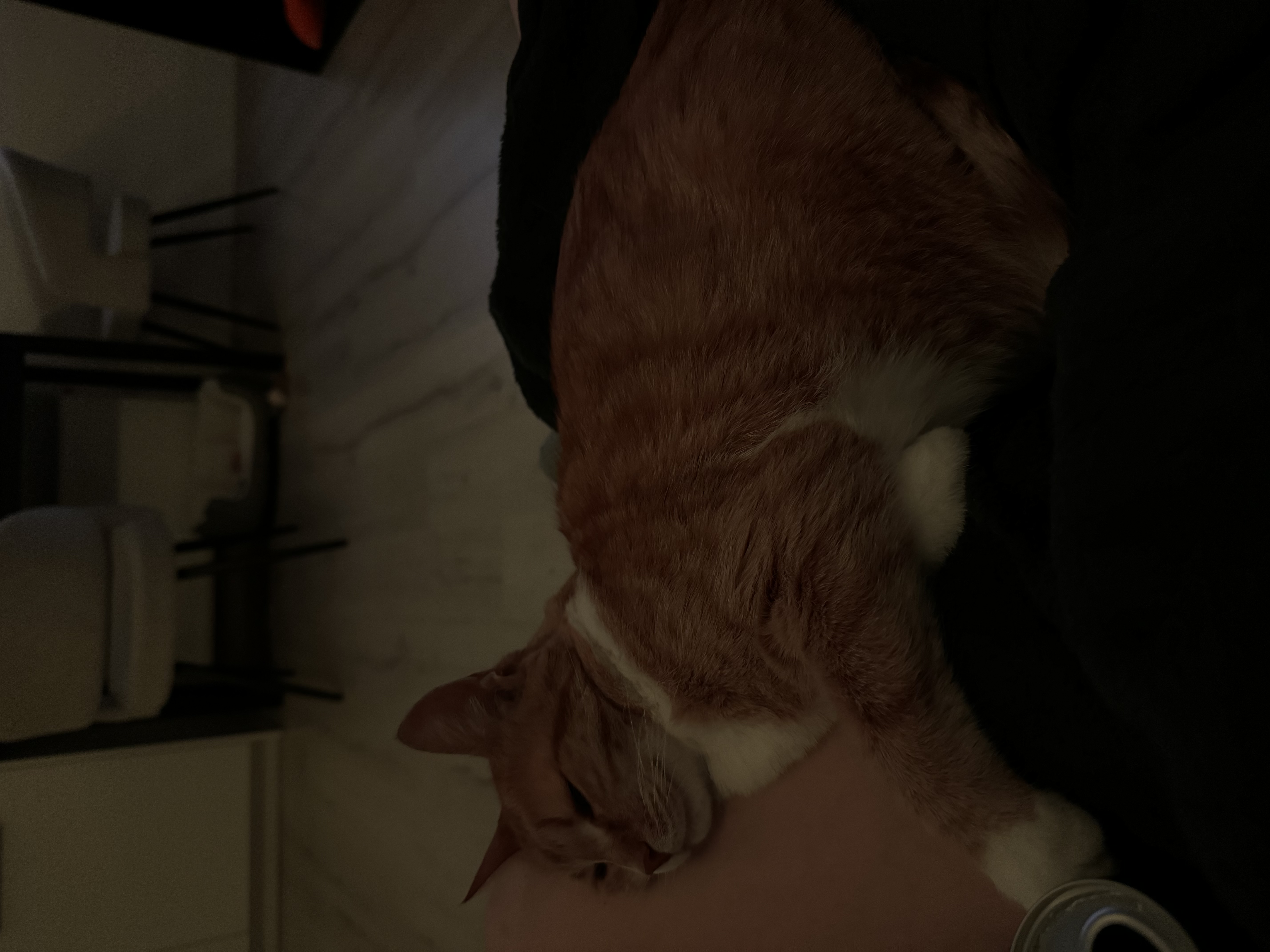 image-8