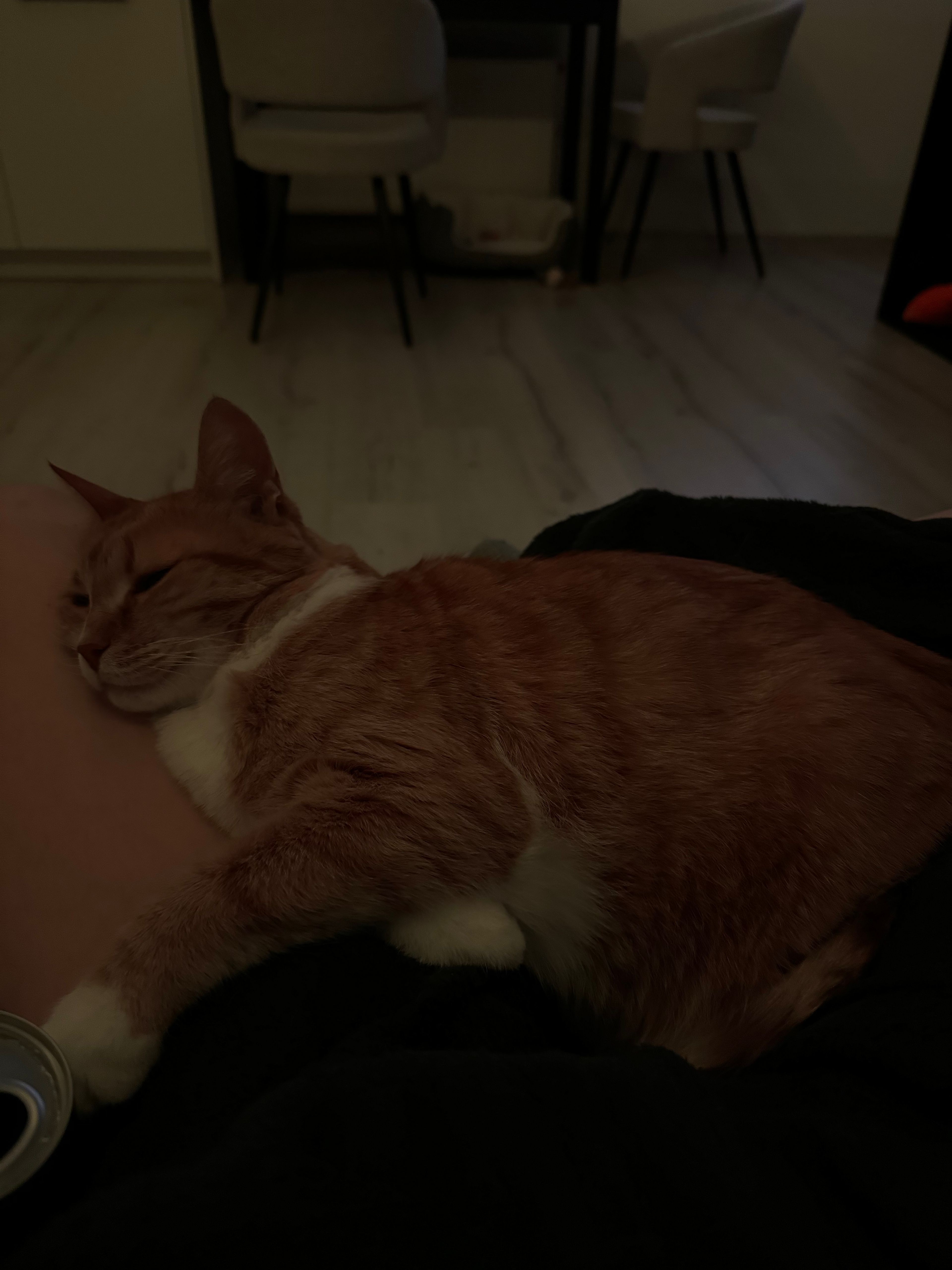 image-8