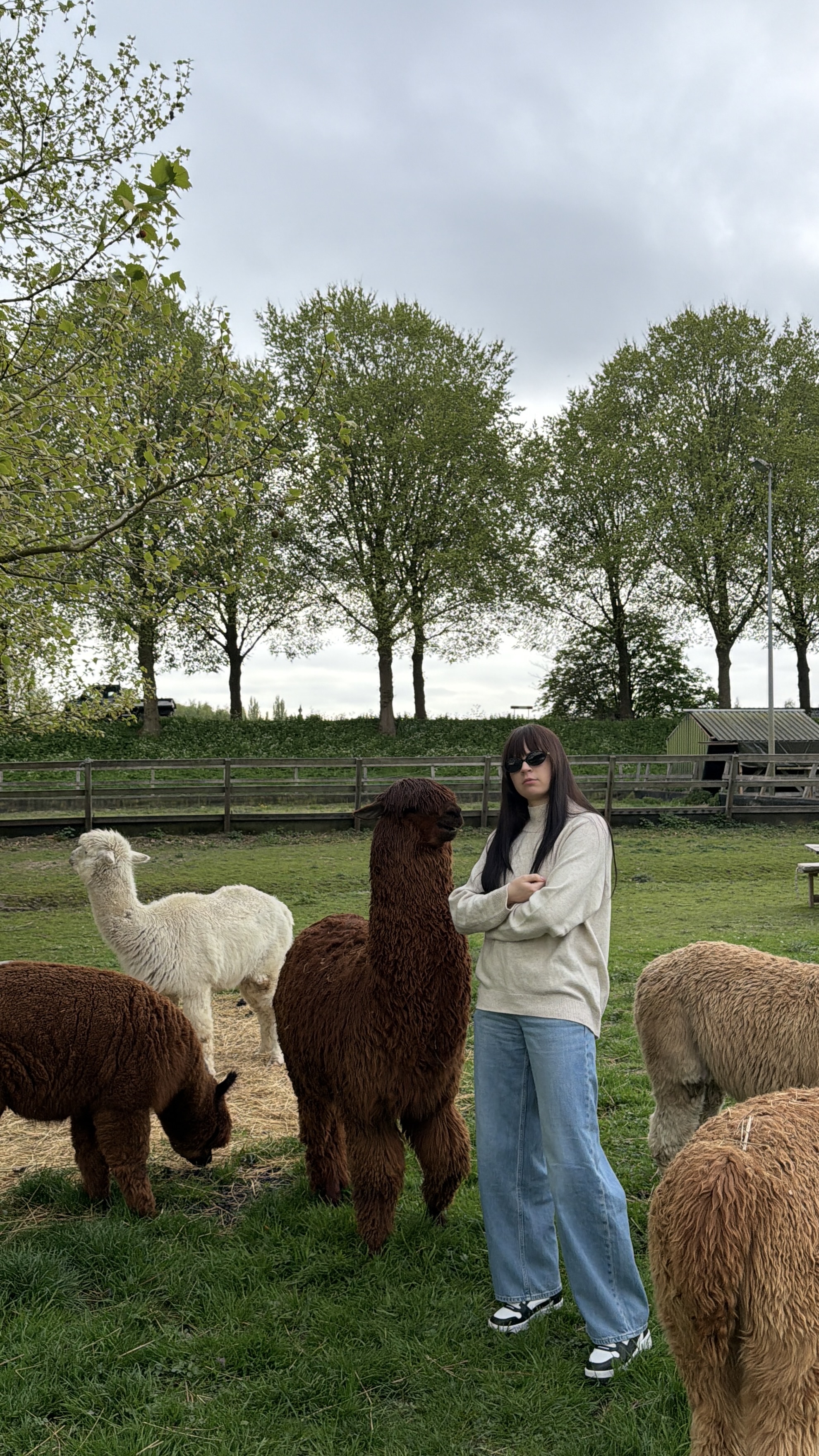 image-0