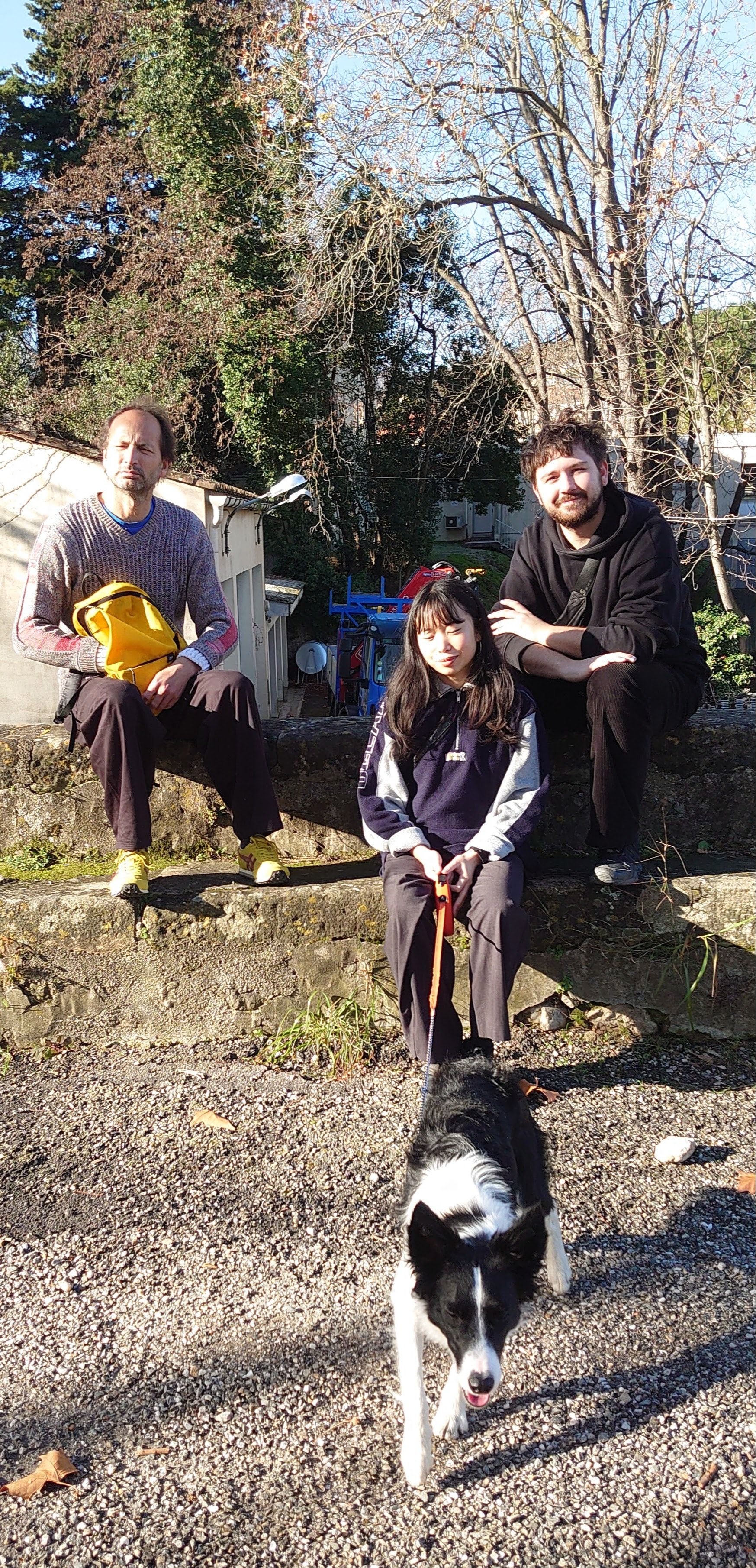 image-5