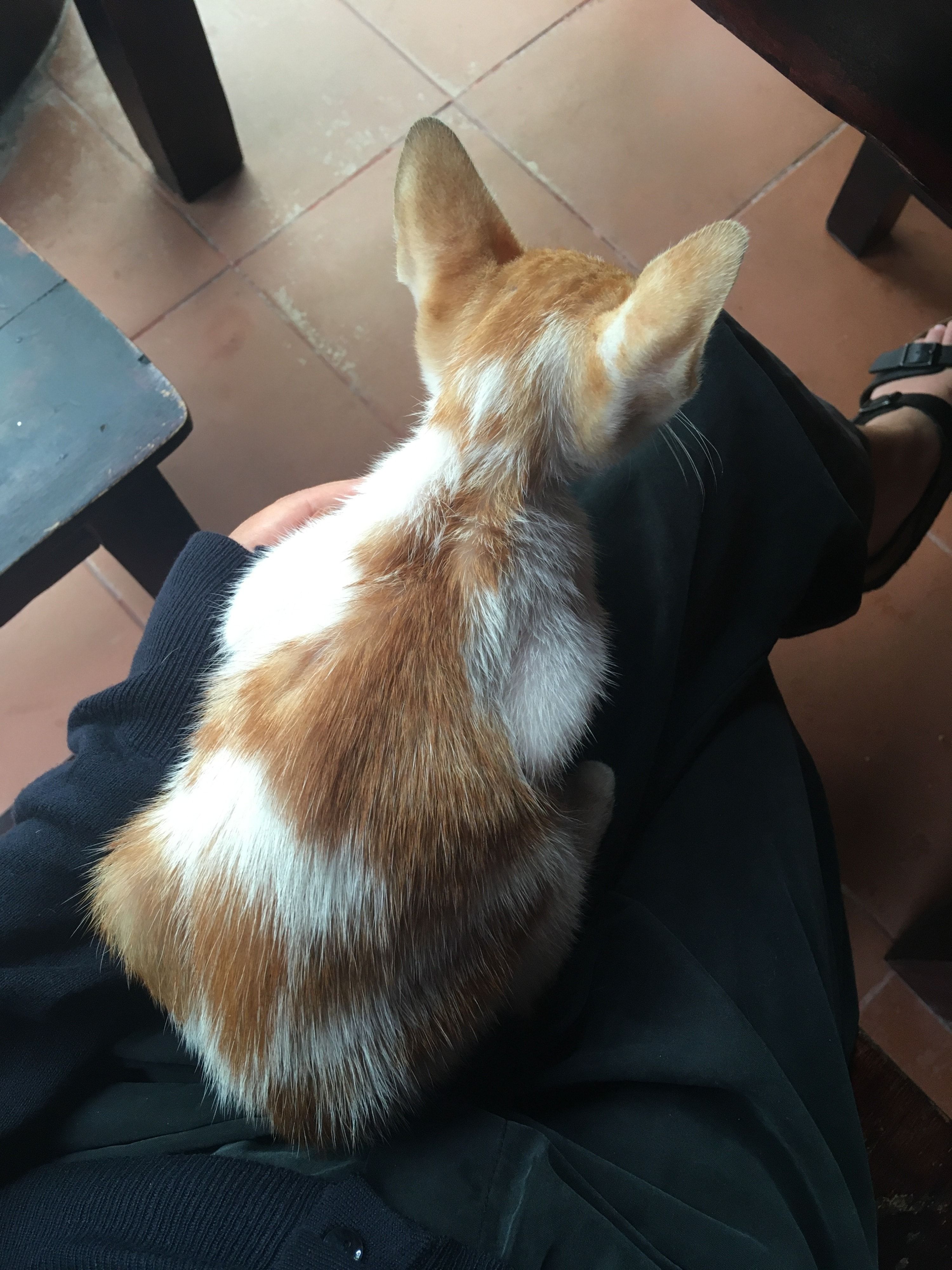 image-6