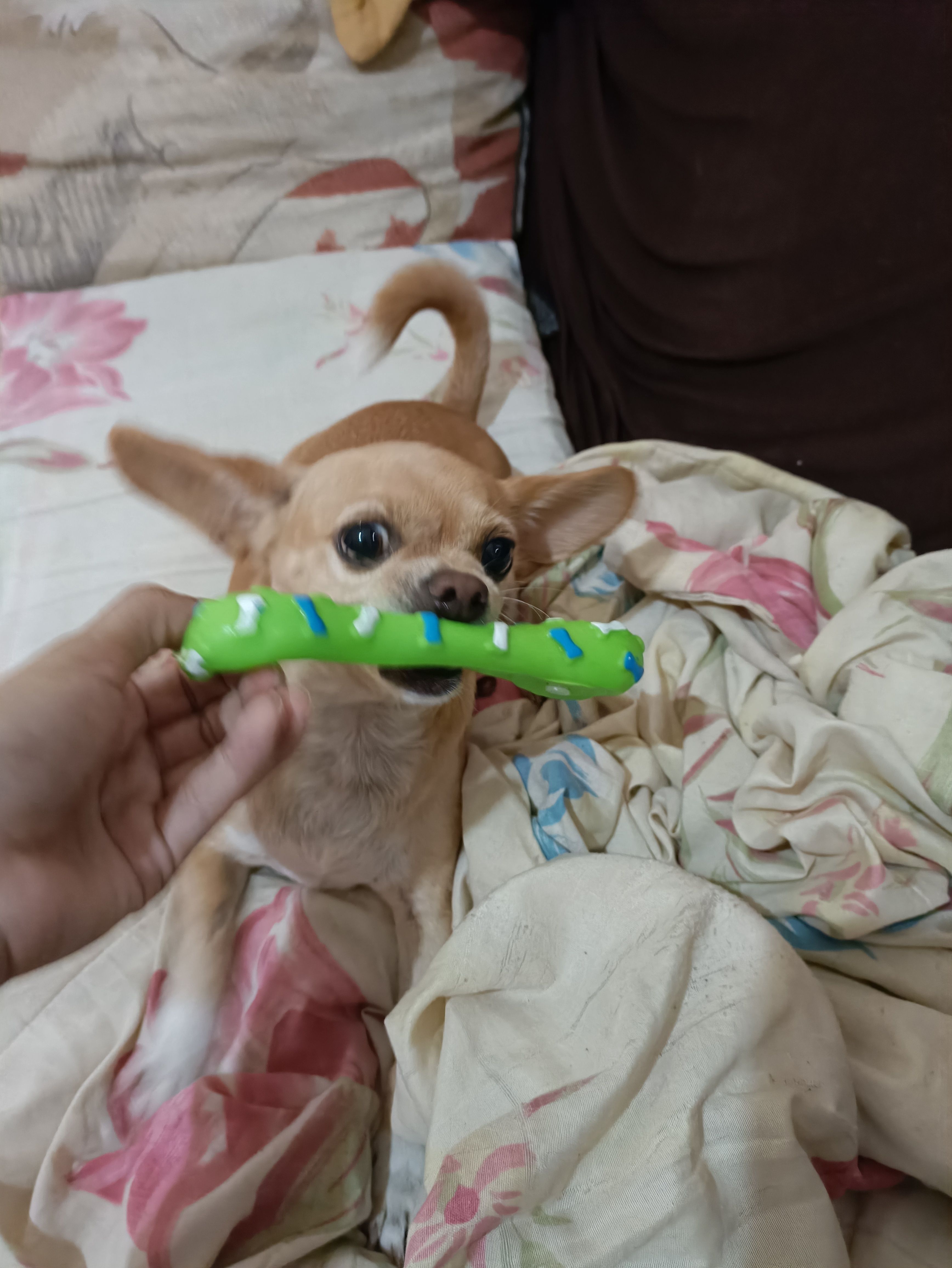 image-10