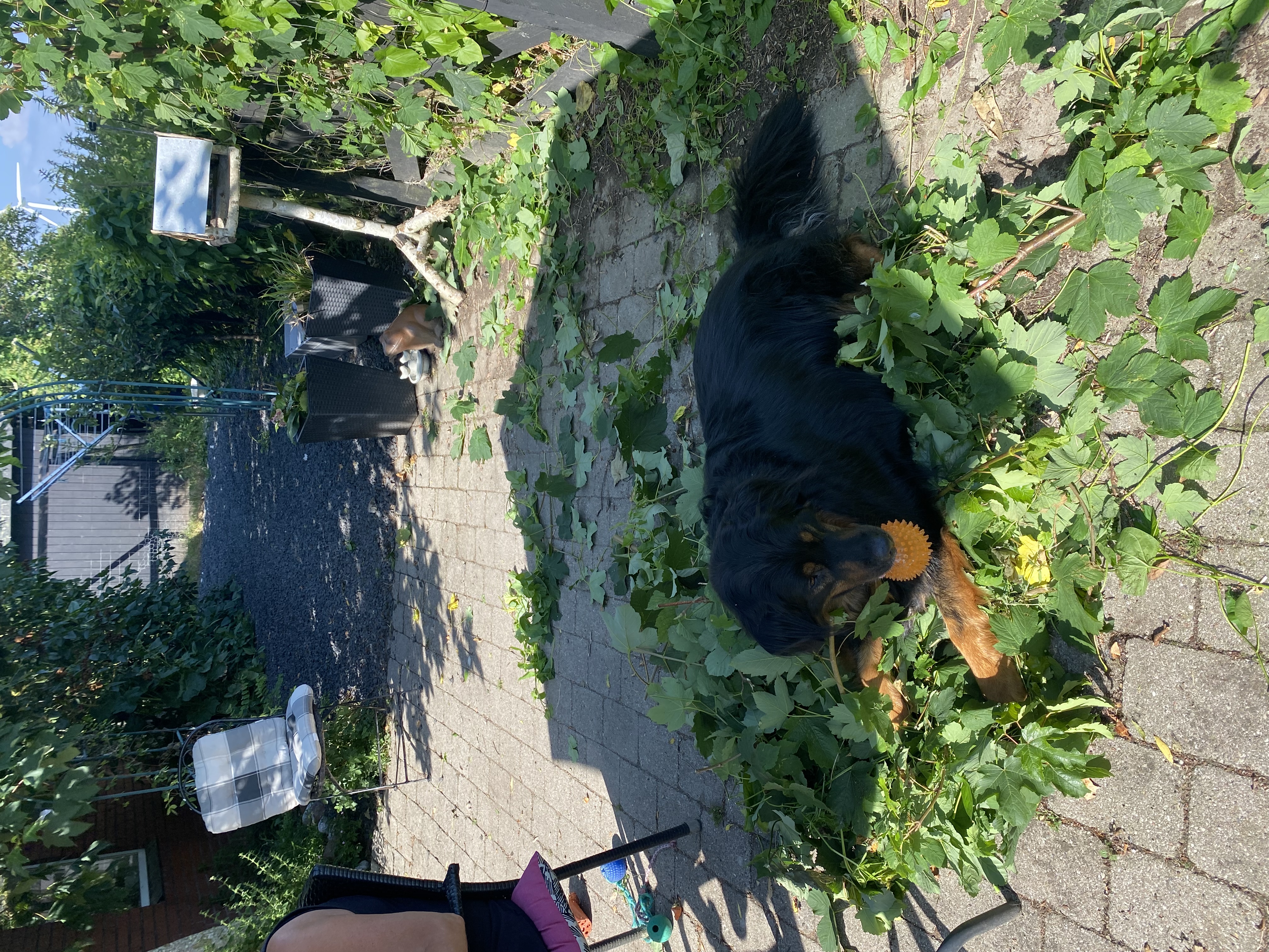 image-10