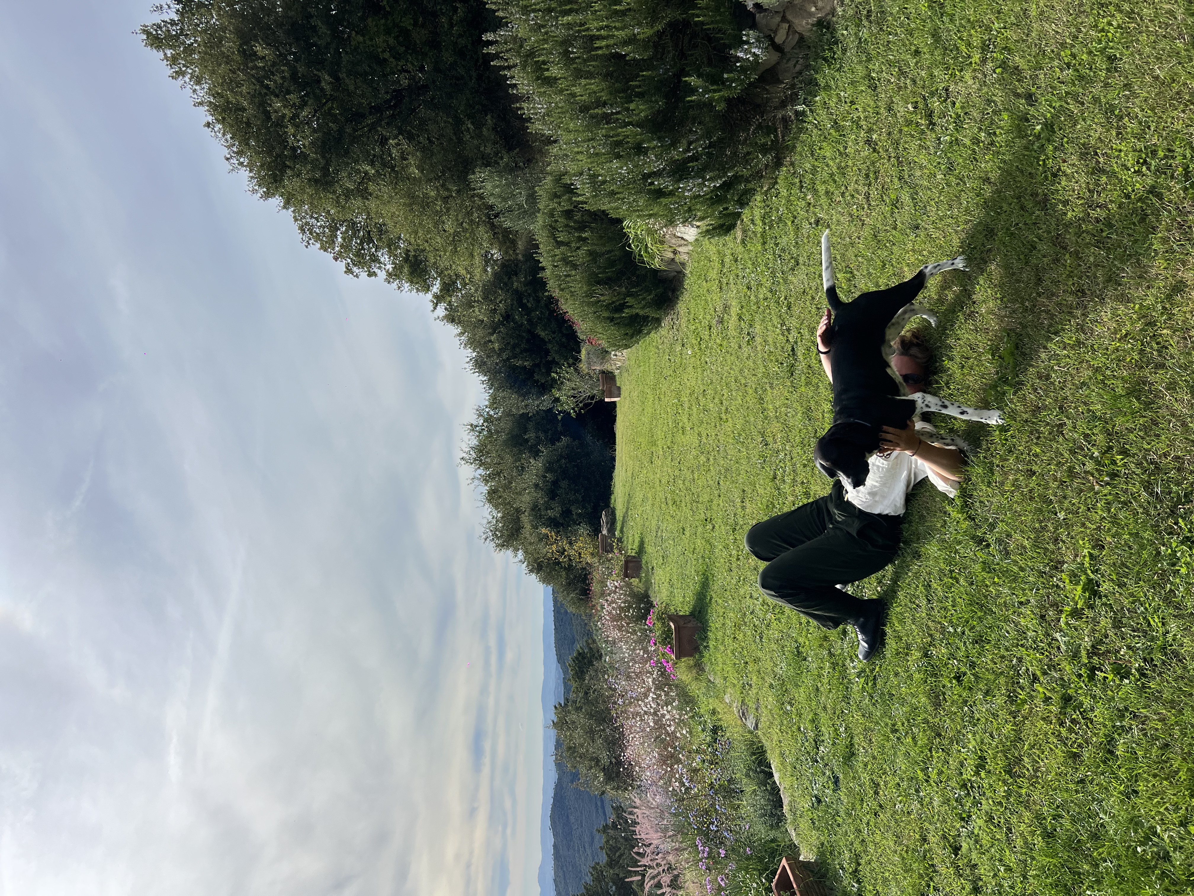 image-7