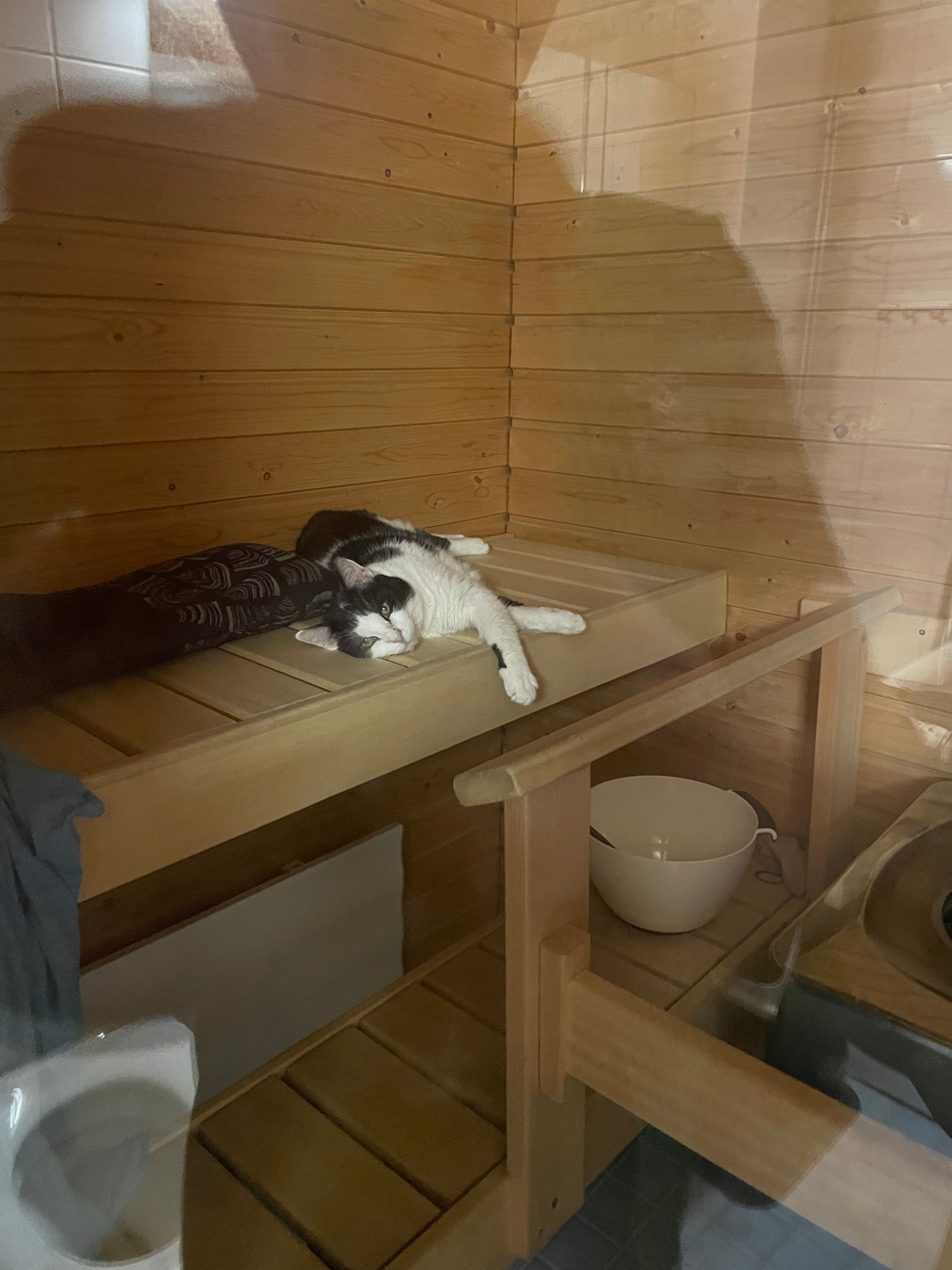 image-12