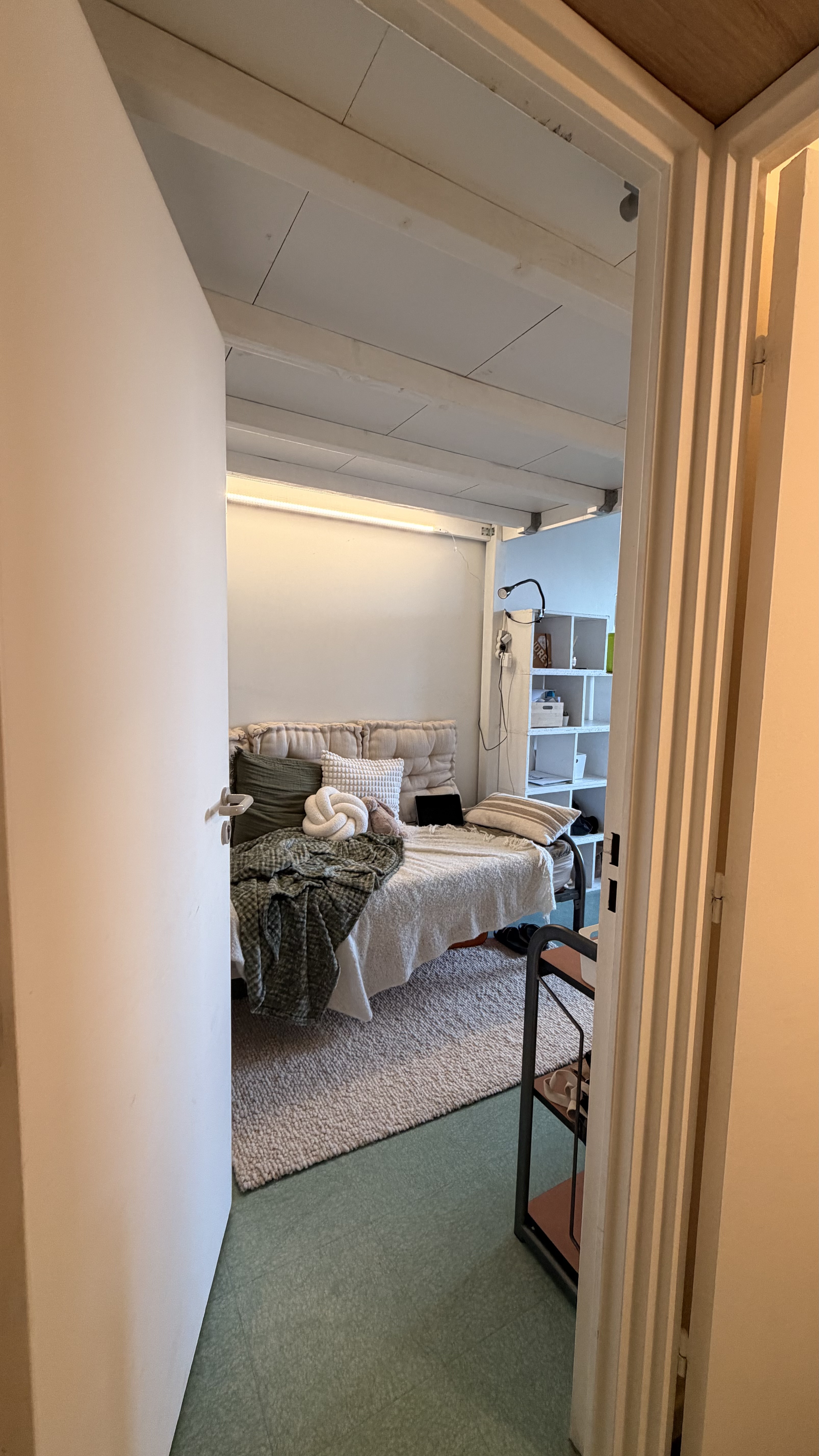 image-19