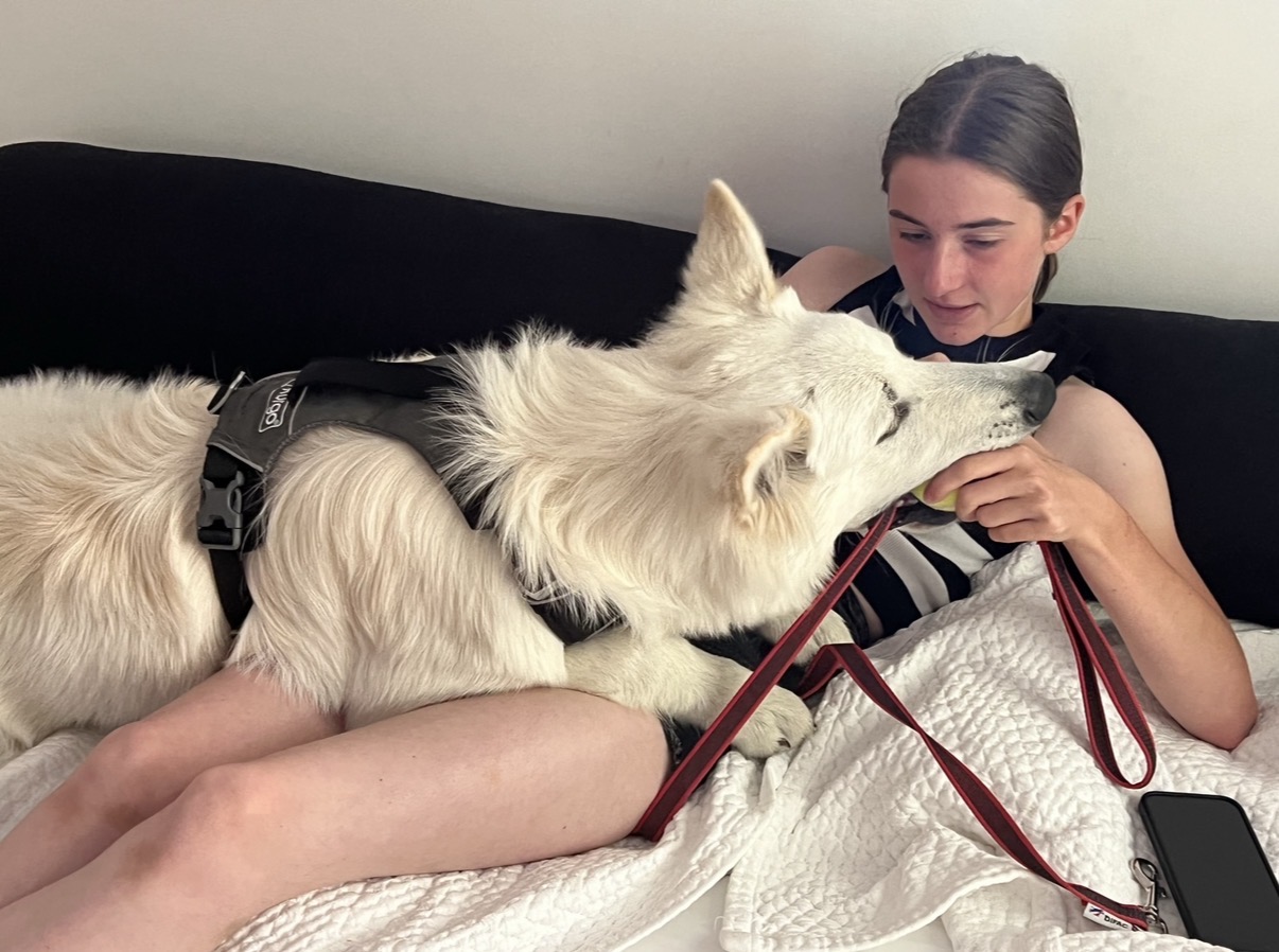image-12