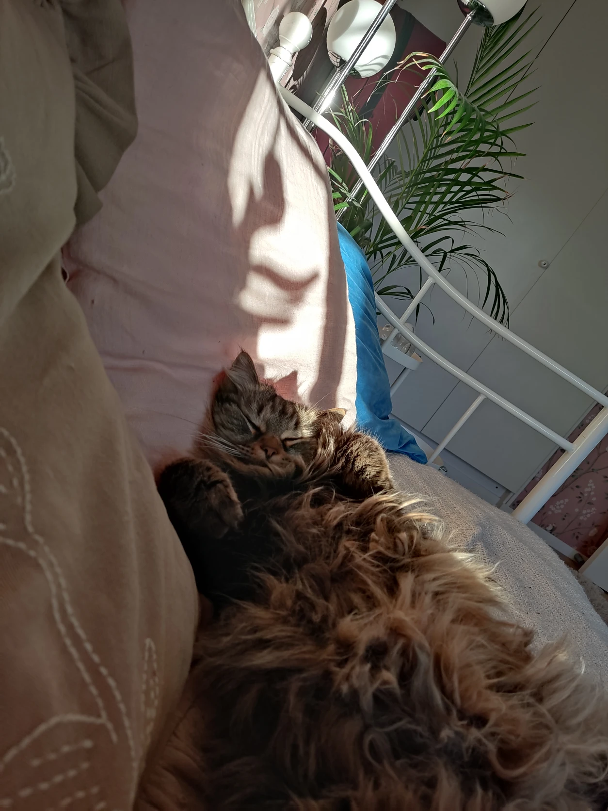 image-8