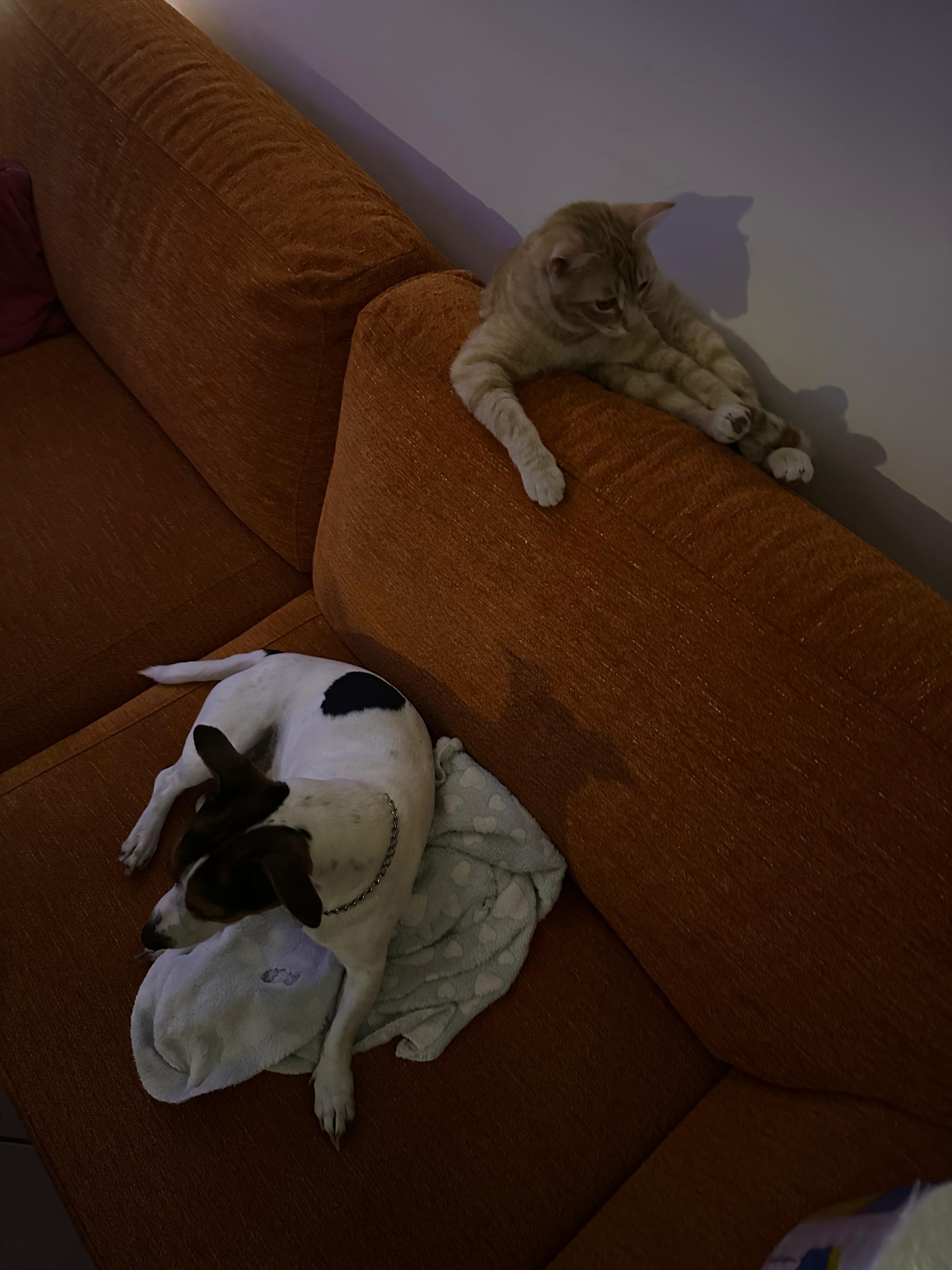 image-32