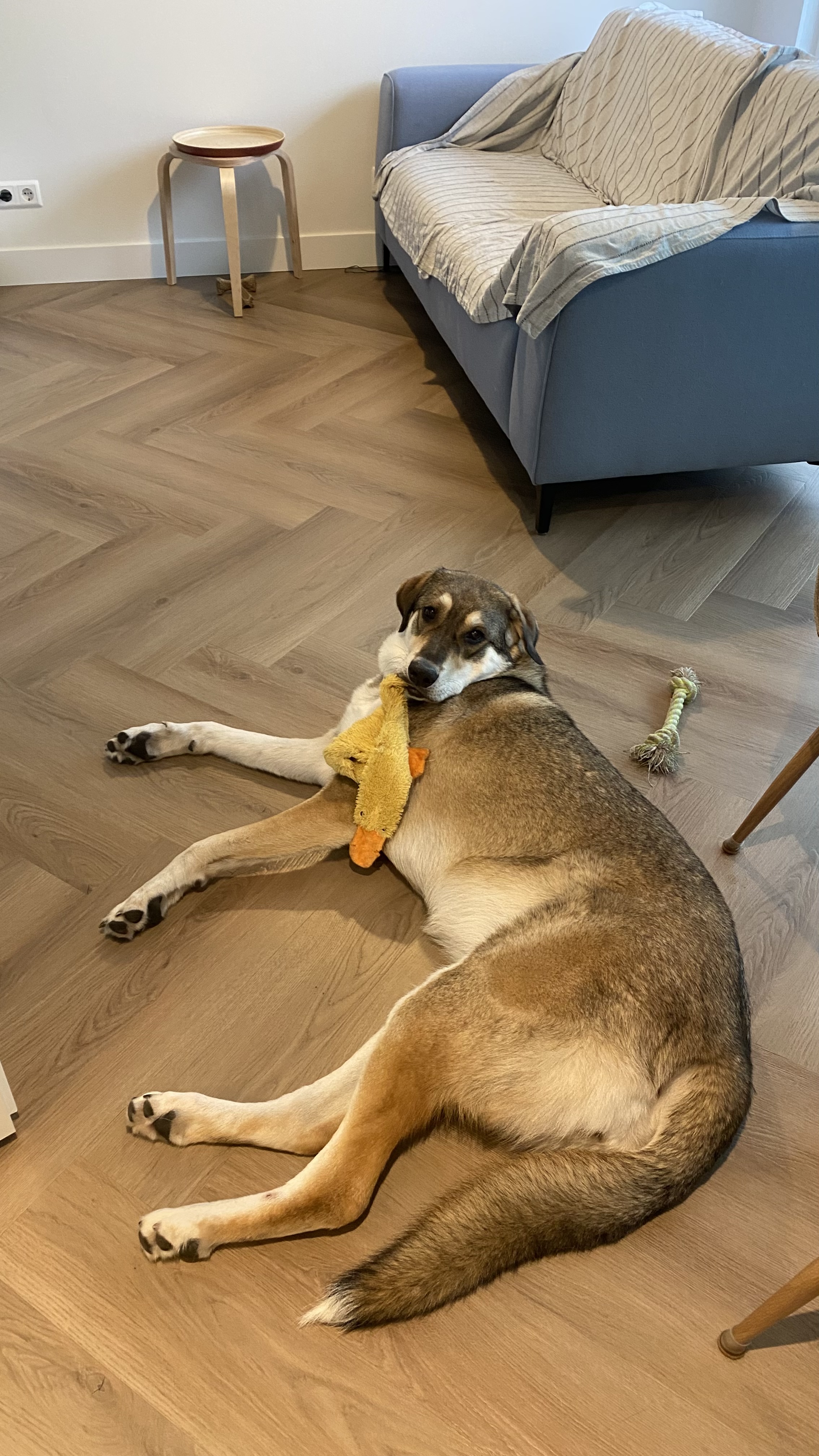 image-13