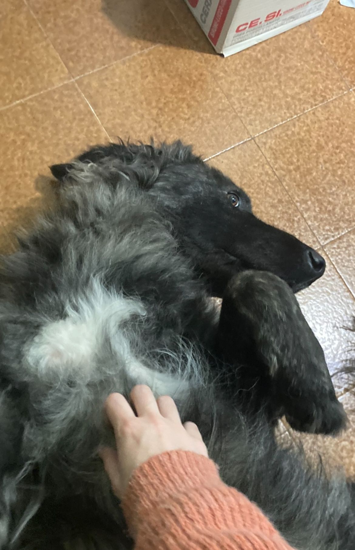 image-11