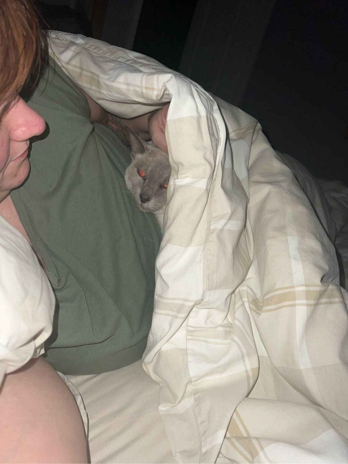 image-7