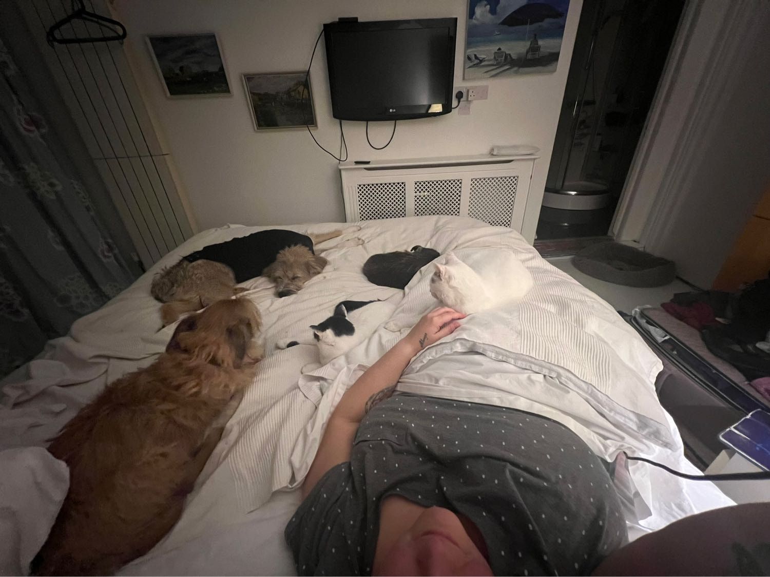 image-10