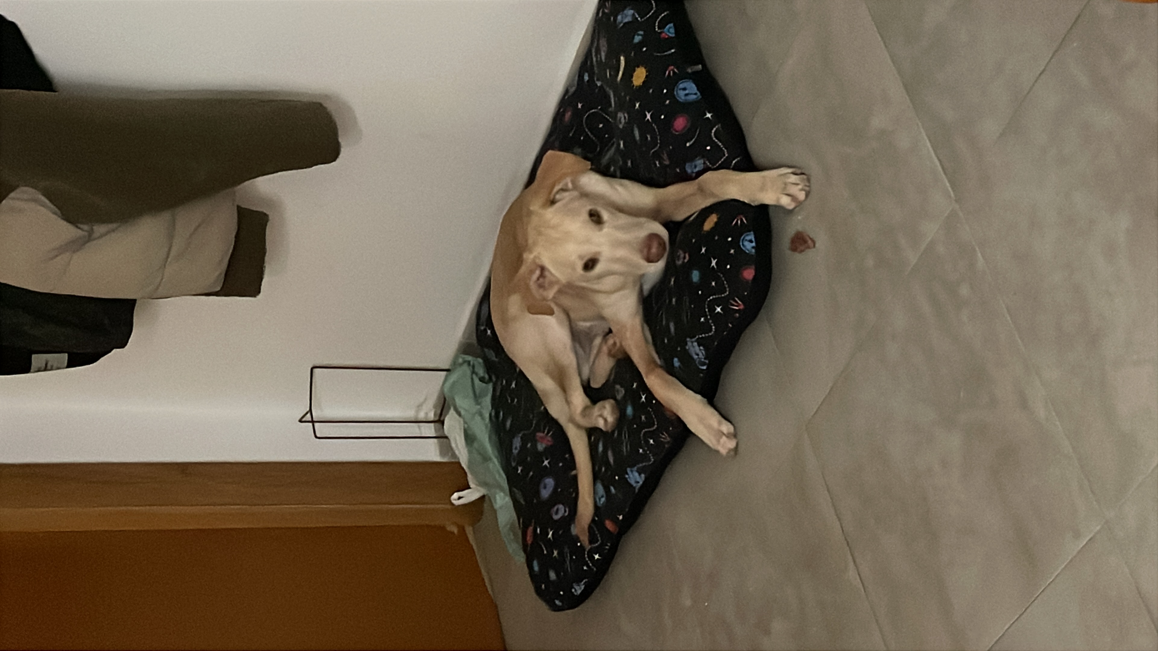 image-7