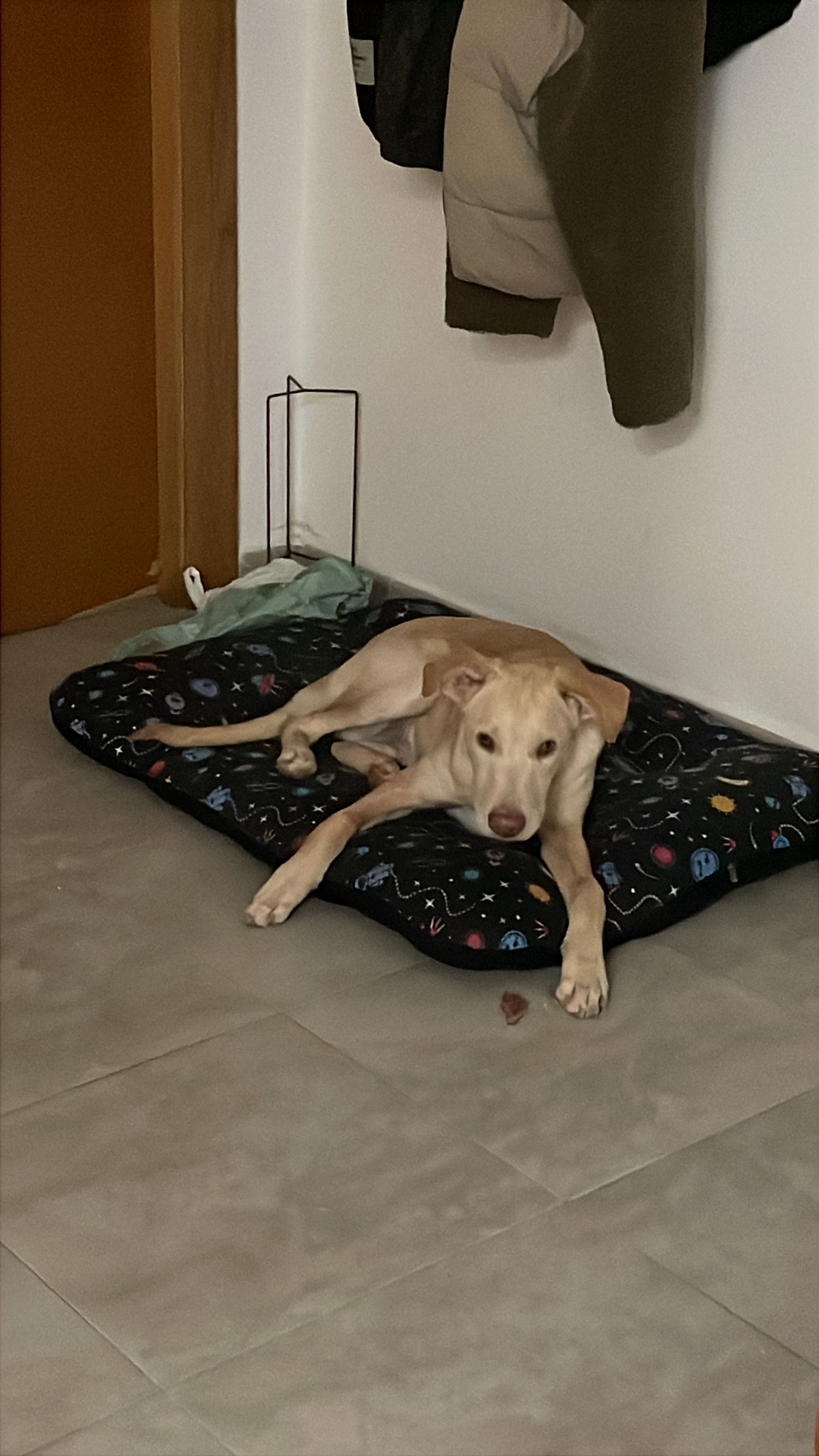 image-7