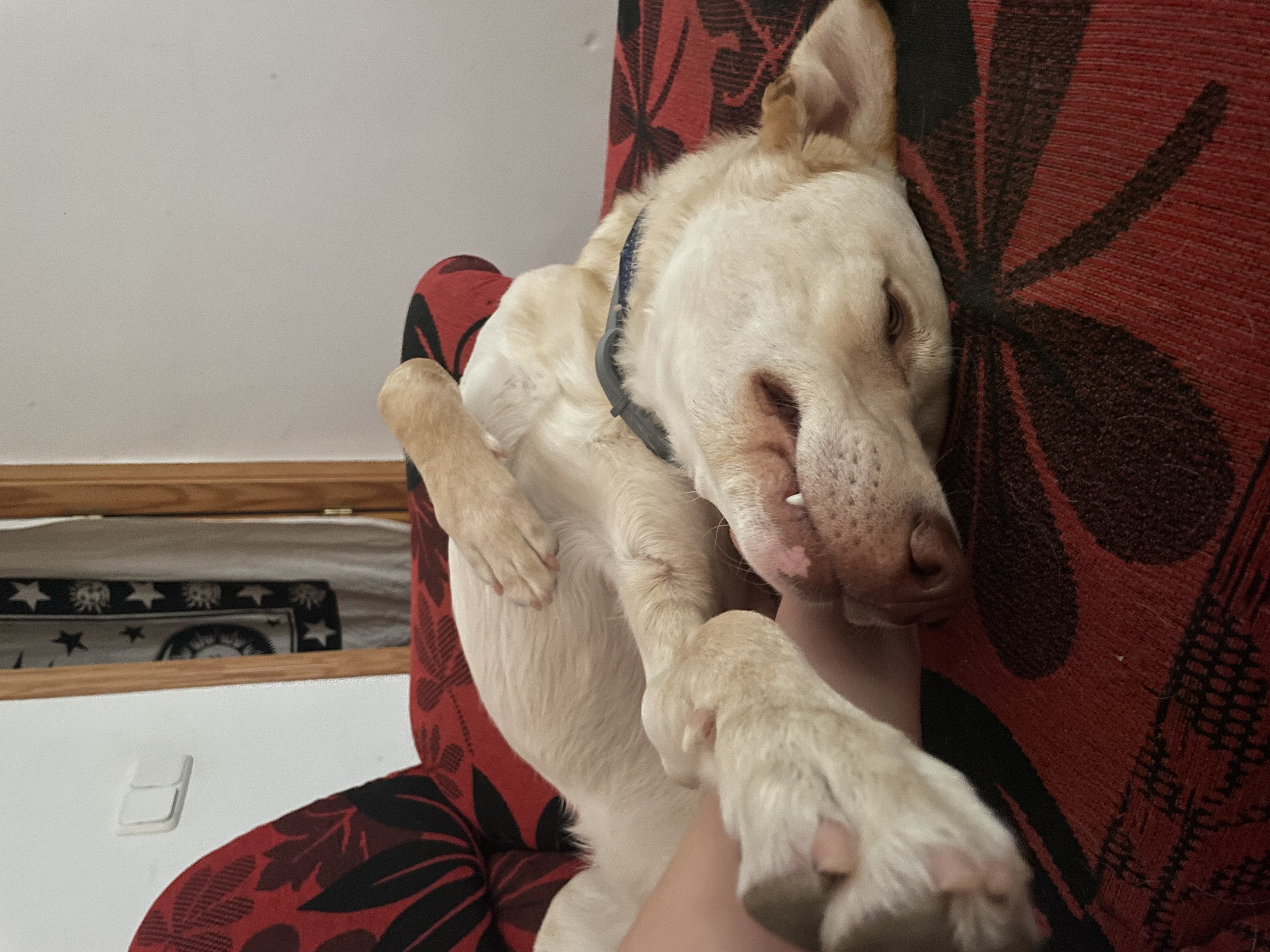 image-9