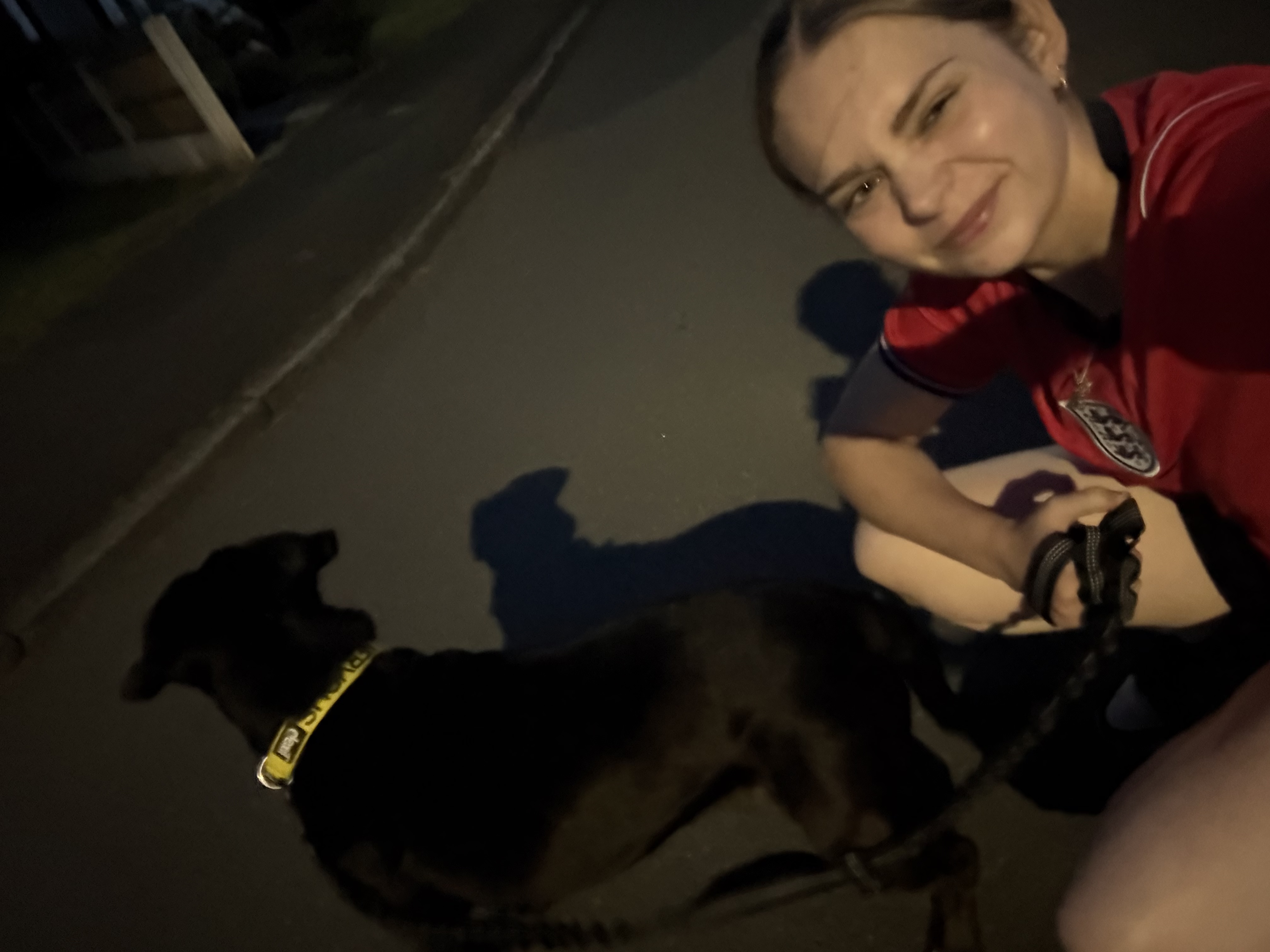 image-11