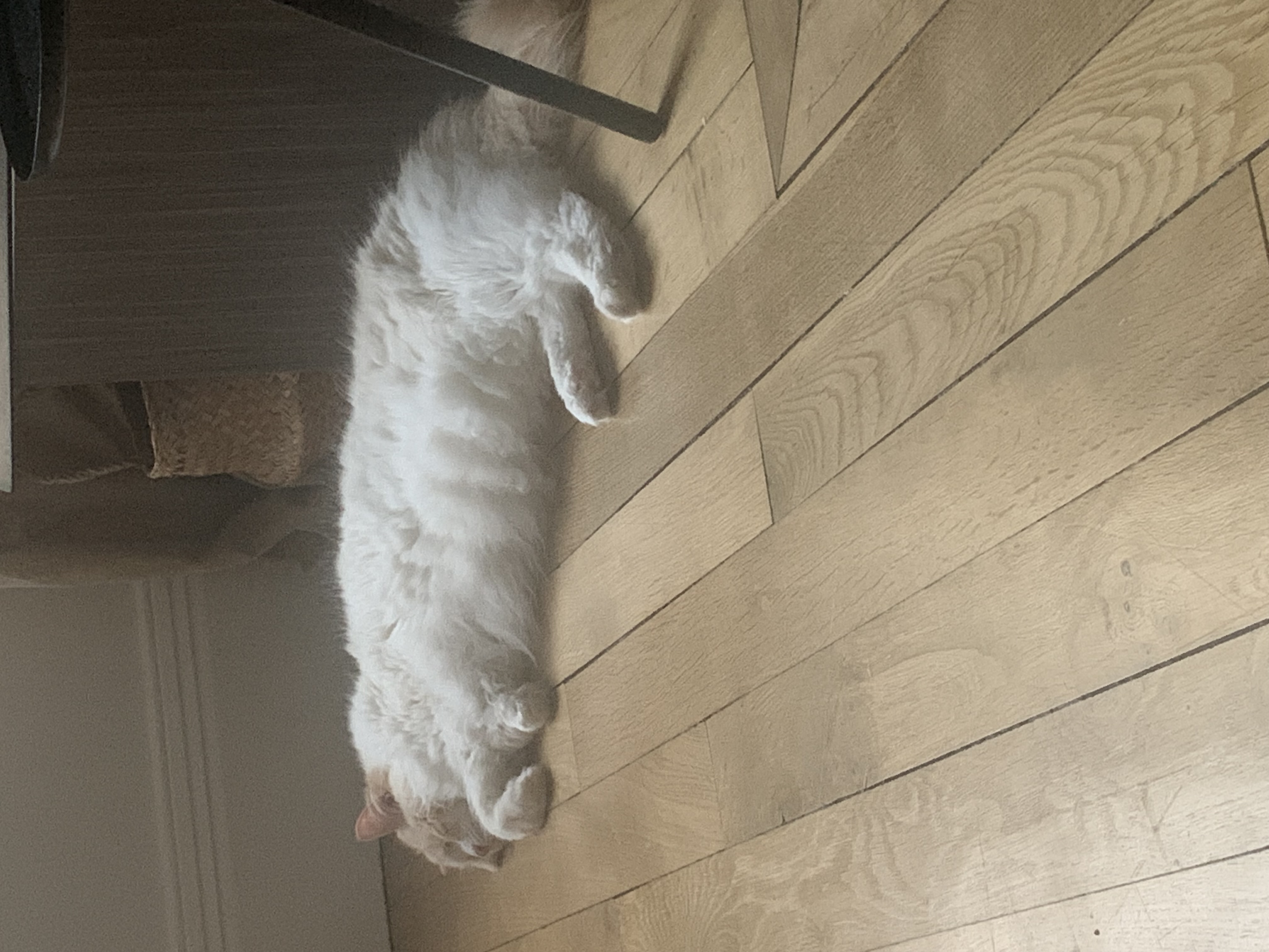 image-7
