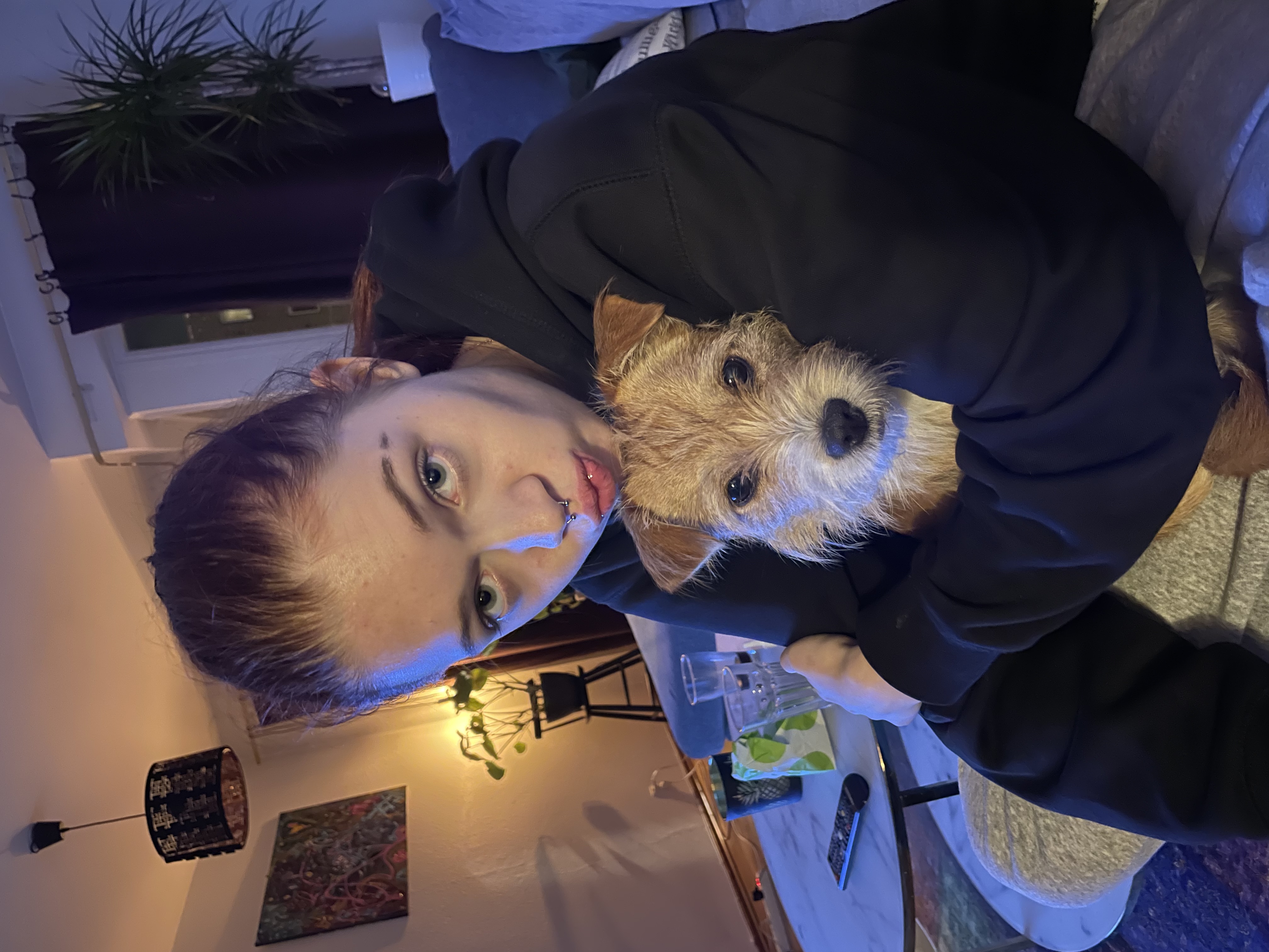 image-1