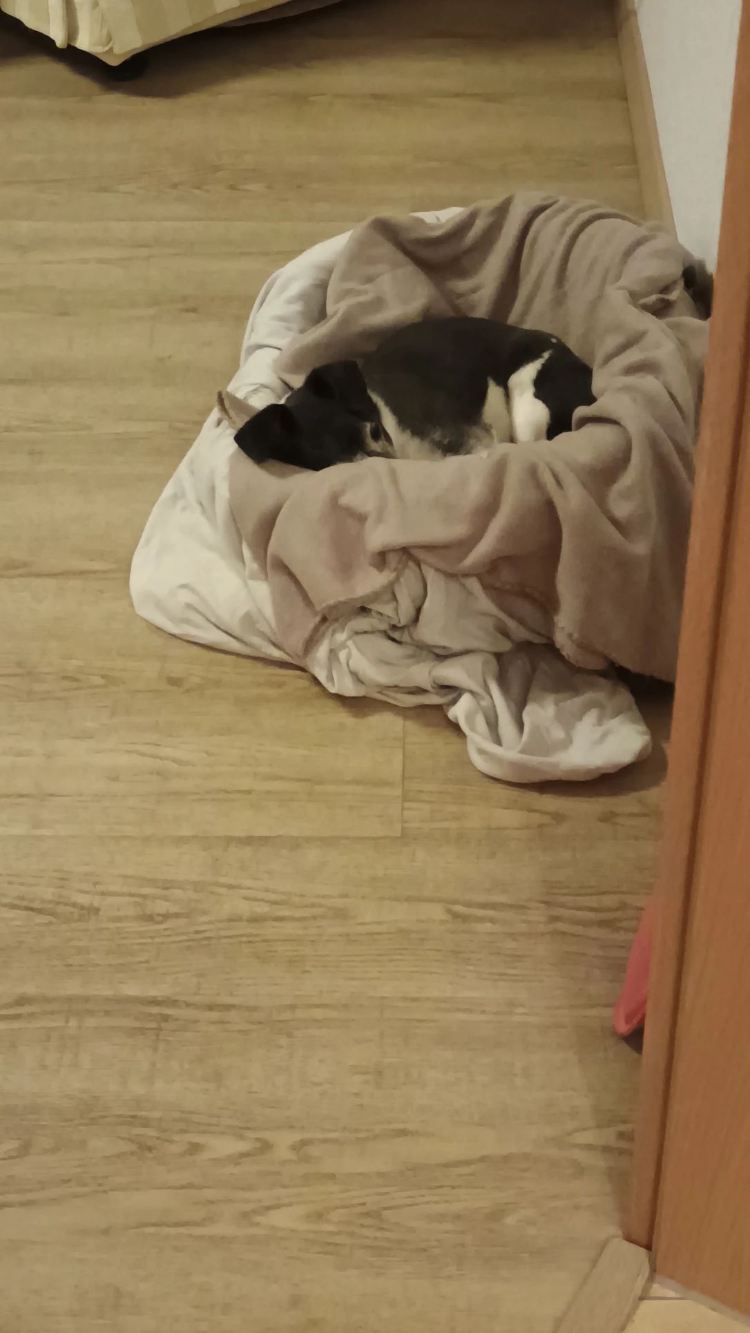 image-8