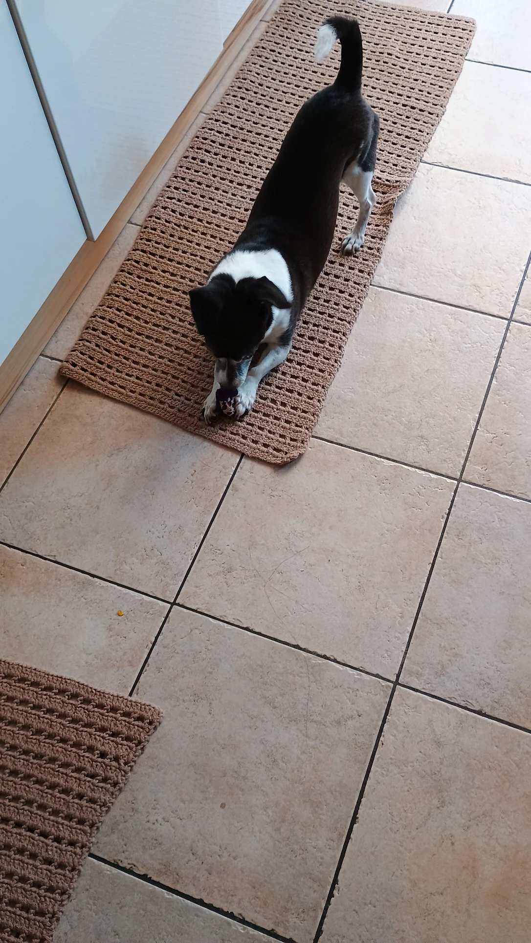 image-12