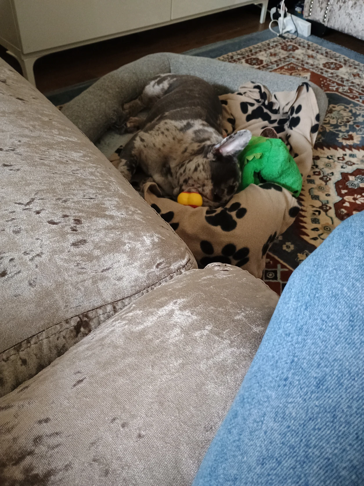 image-28