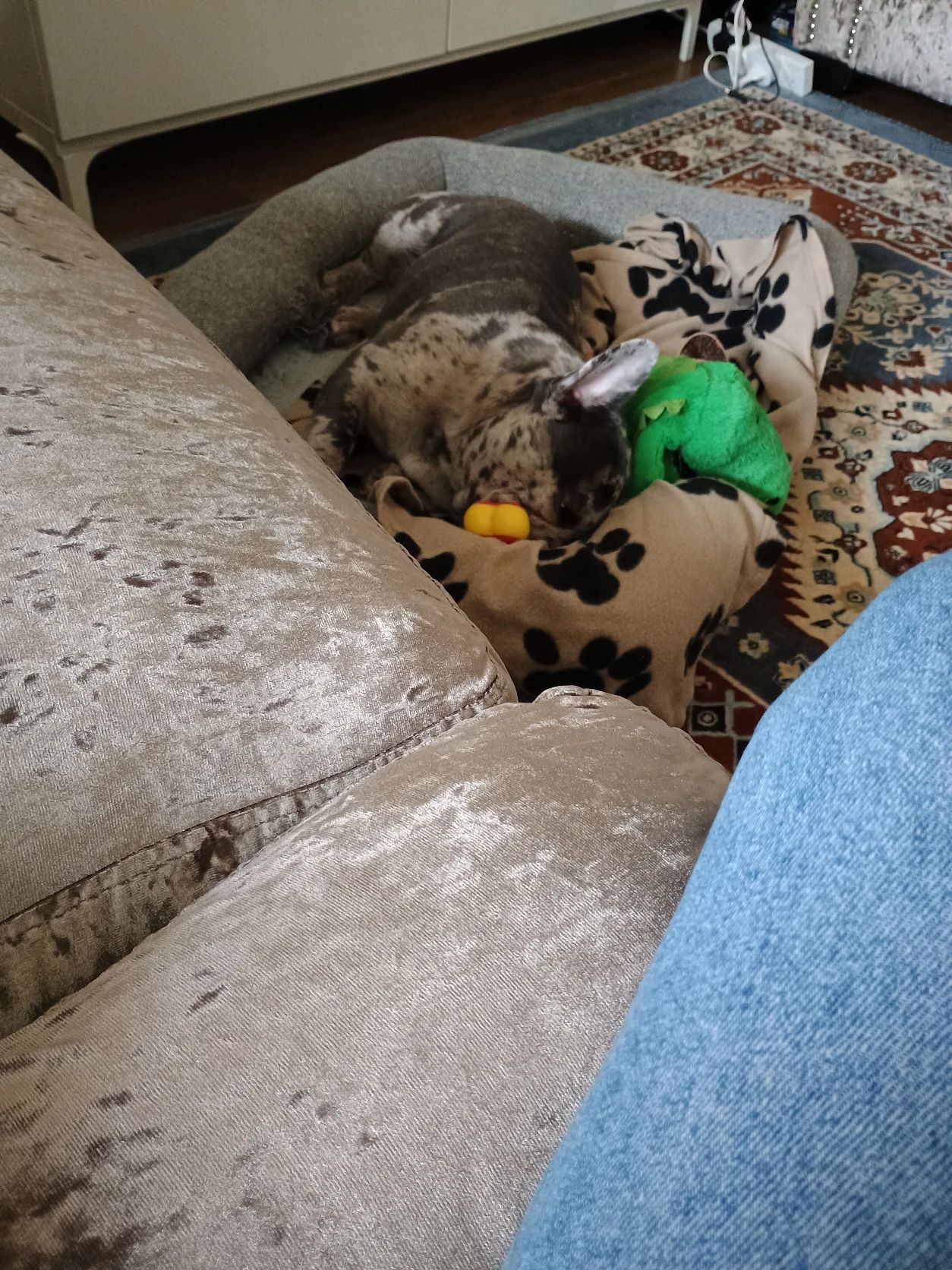 image-28