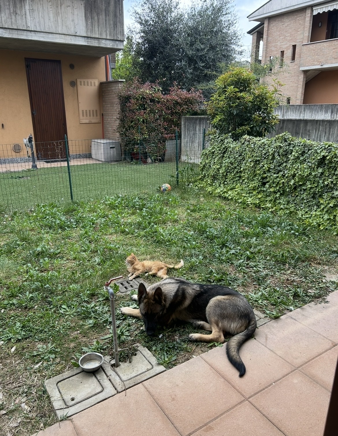 image-14
