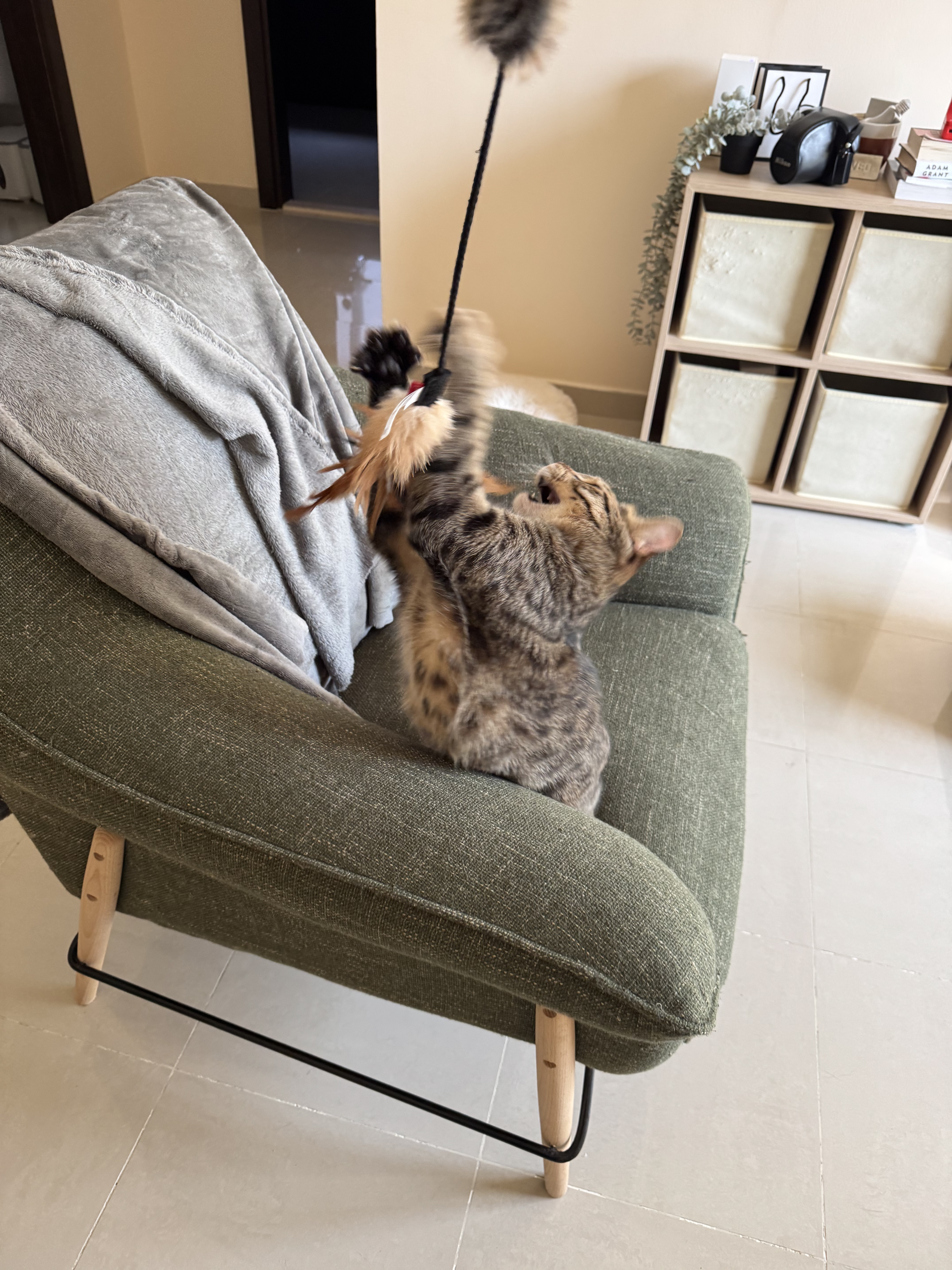image-9