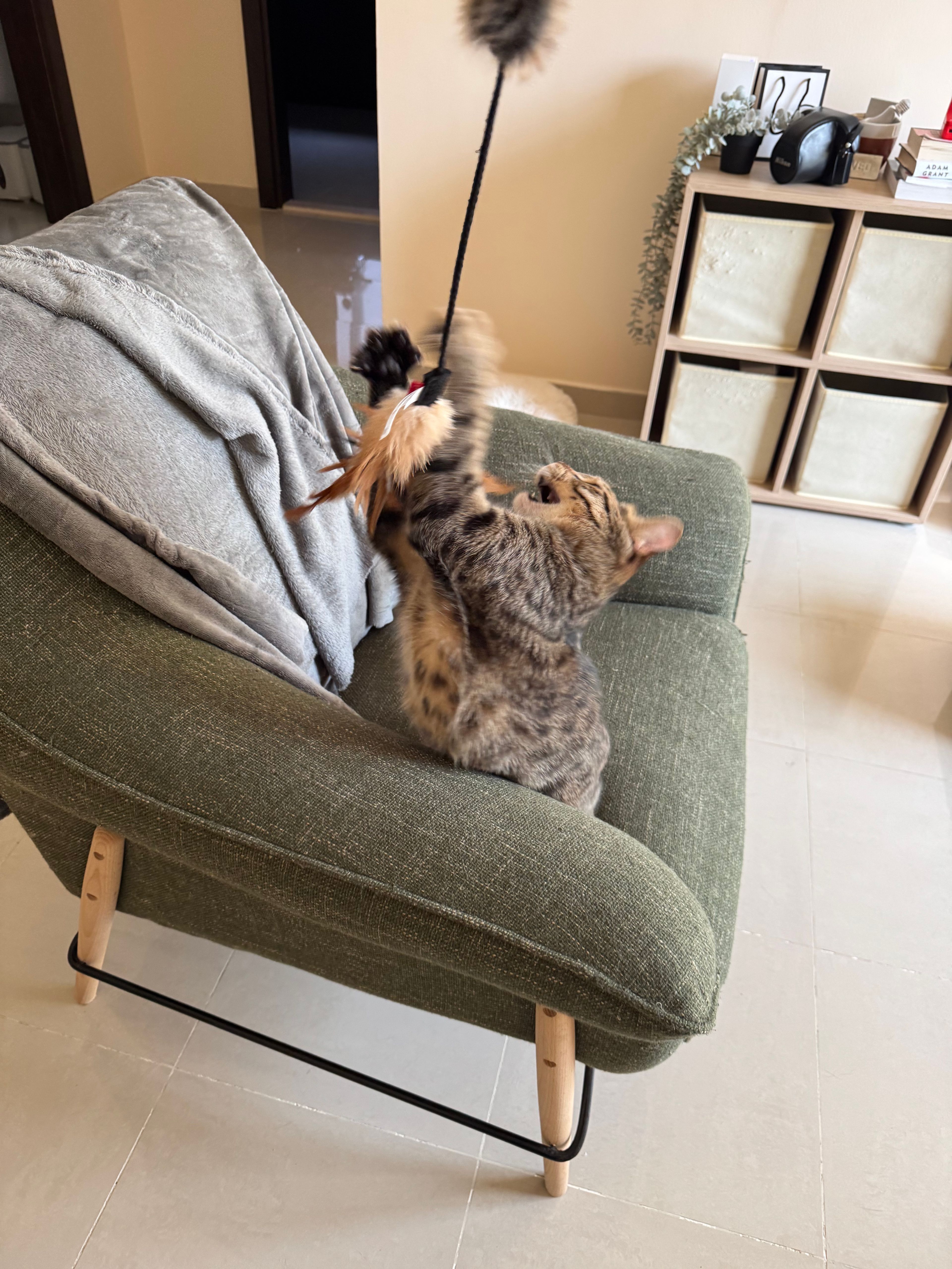 image-9