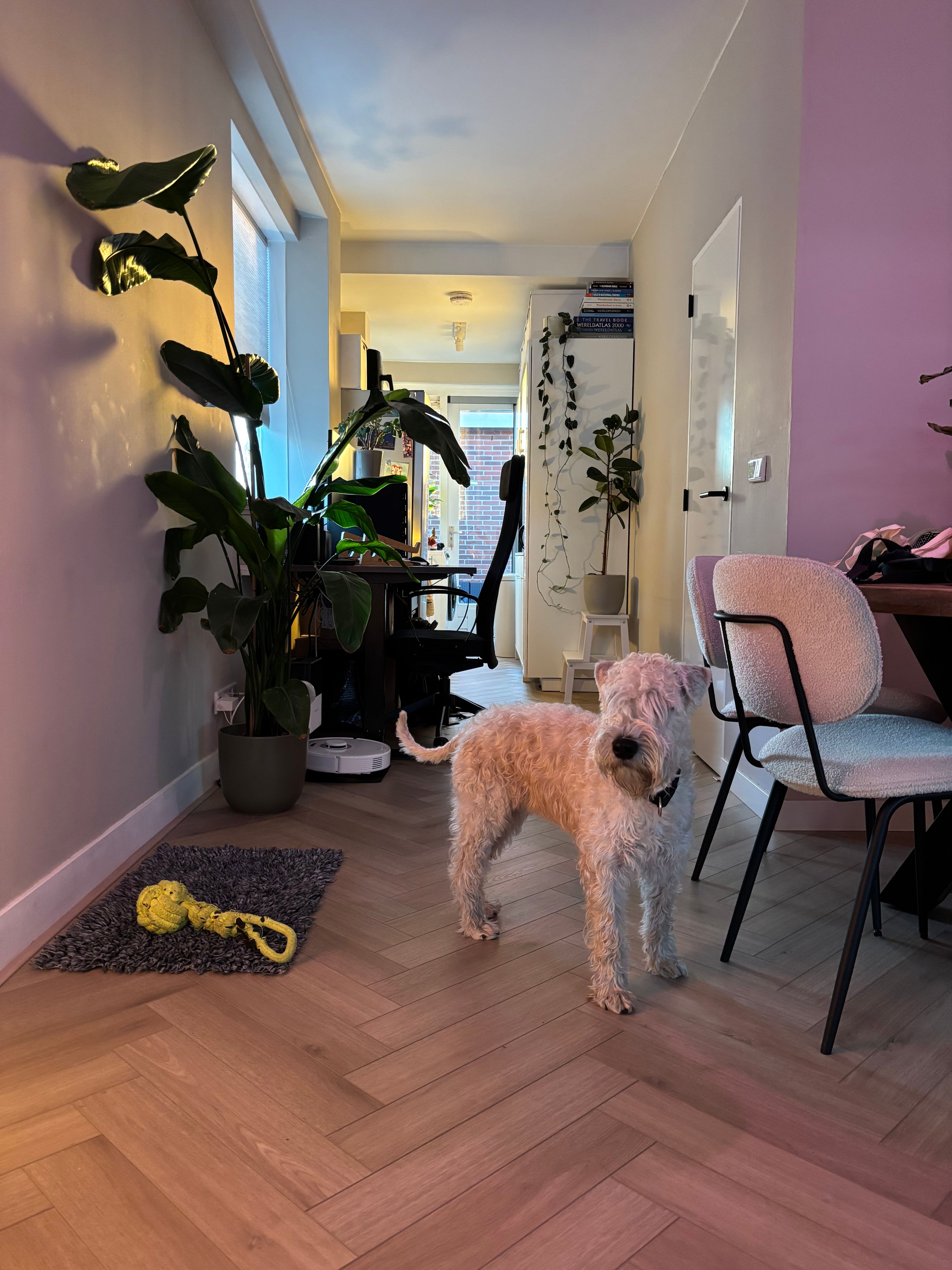 image-12
