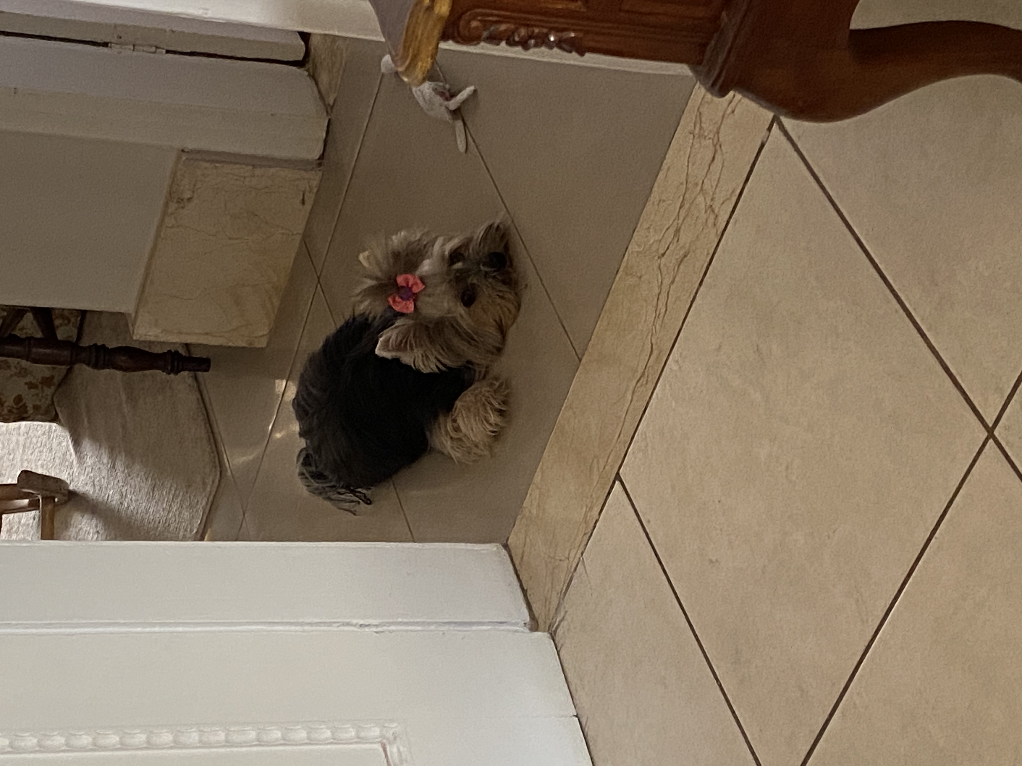 image-10