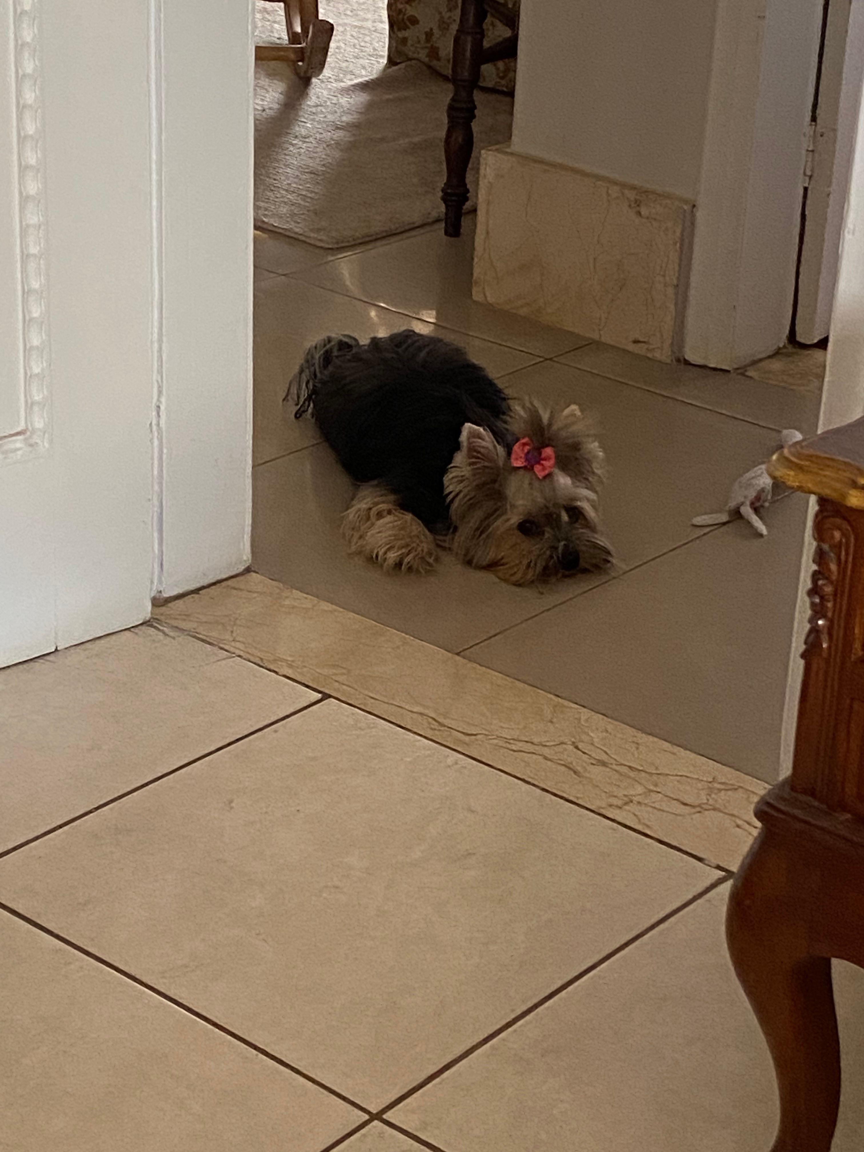 image-10